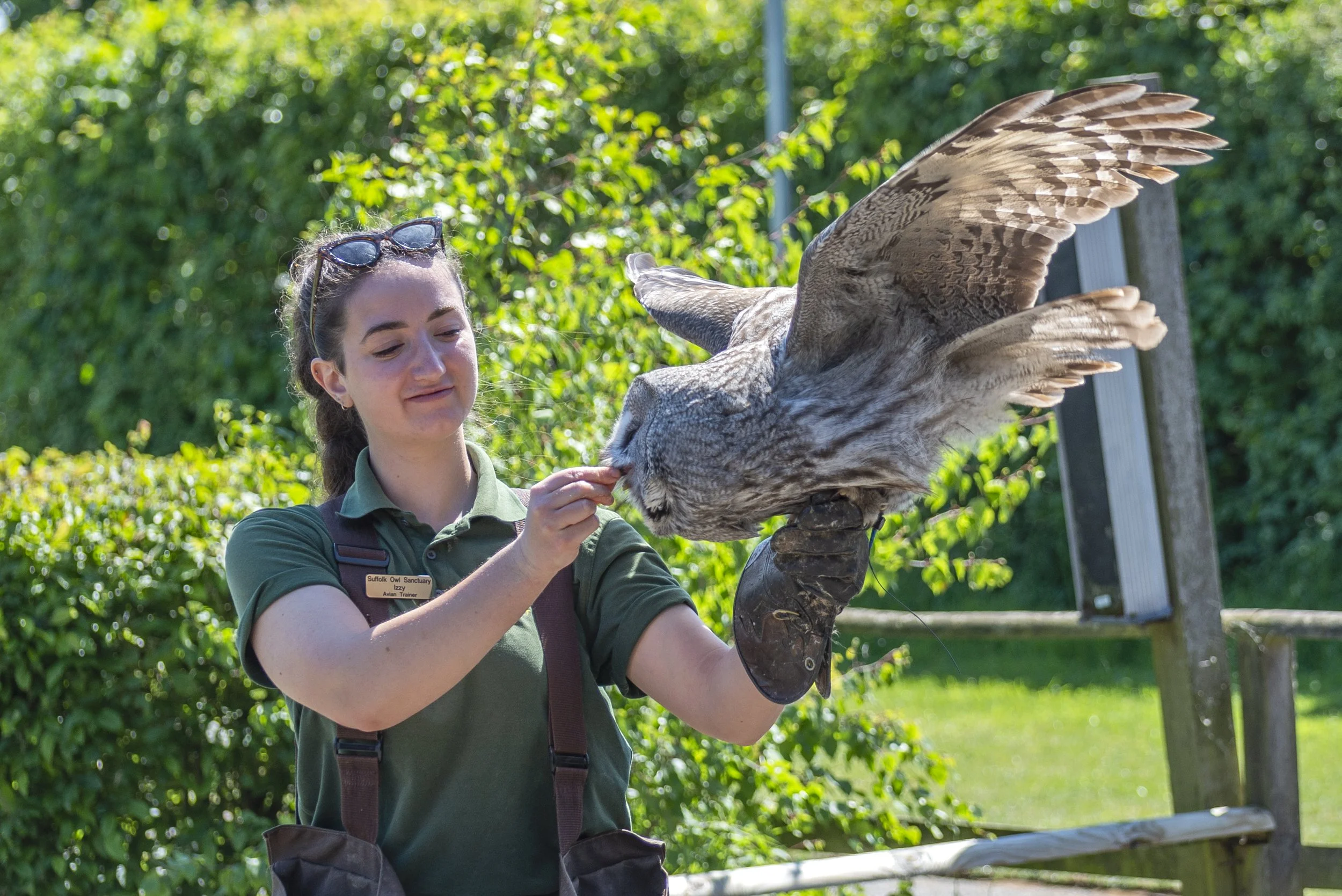 A young woman at a wildlife sanctuary feeds an owl perched on her gloved hand, with greenery and a fence in the background.