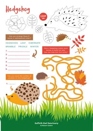 Educational worksheet about hedgehogs featuring illustrations of a hedgehog, leaves, flowers, and a tangled ball of string, with space for writing answers and inquiries about hedgehog characteristics and counting their pines.