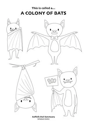 Black-and-white illustration of a bat-themed coloring page titled 'This is called a... A COLONY OF BATS,' featuring five cartoon bats with different costumes and accessories. One bat is dressed as a vampire, another with wings and a bow tie, another wearing a pointed hat, one holding a 'Boo' sign, and one flying.