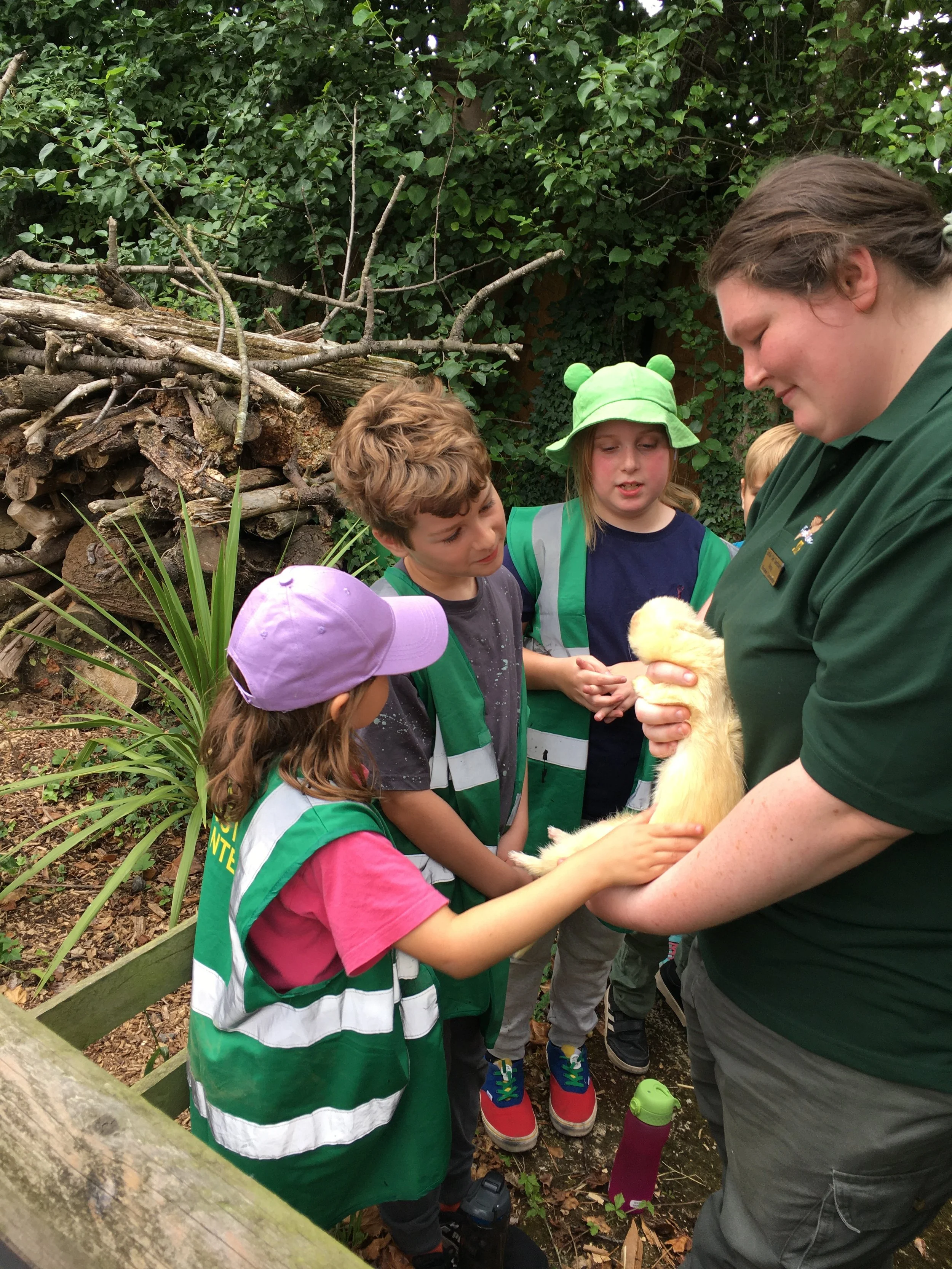 Children and a woman holding a yellow duck outdoors in front of greenery, including a pile of logs and plants, during the daytime.