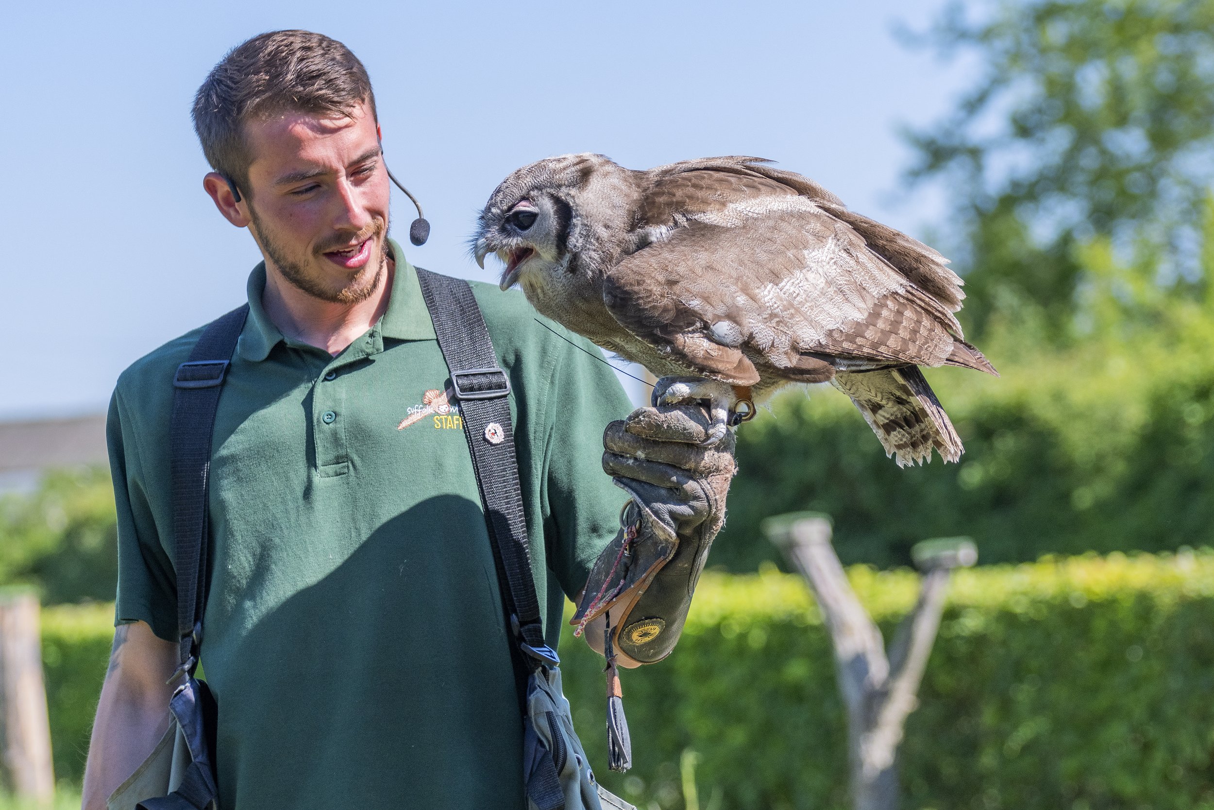 A young man in a green polo shirt and beard holding a large owl on his gloved hand outdoors.