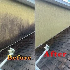 House Pressure Washing in Kissimmee, FL near Me