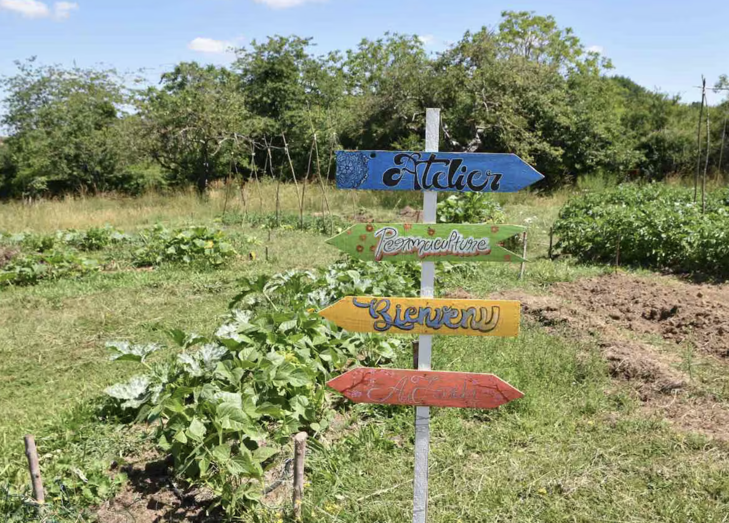 Bildschirmfoto 2026-02-04 um 14.33.48.png