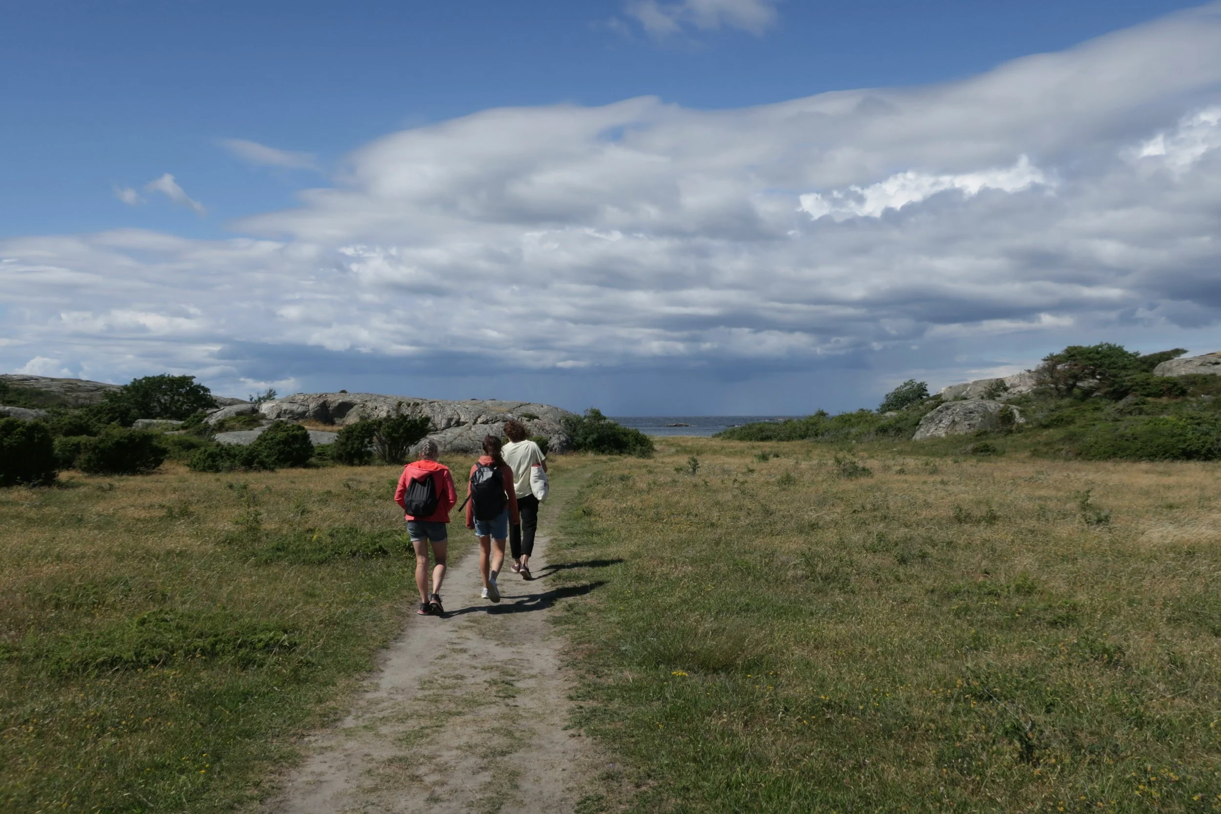 Step into Summer: Netwalking