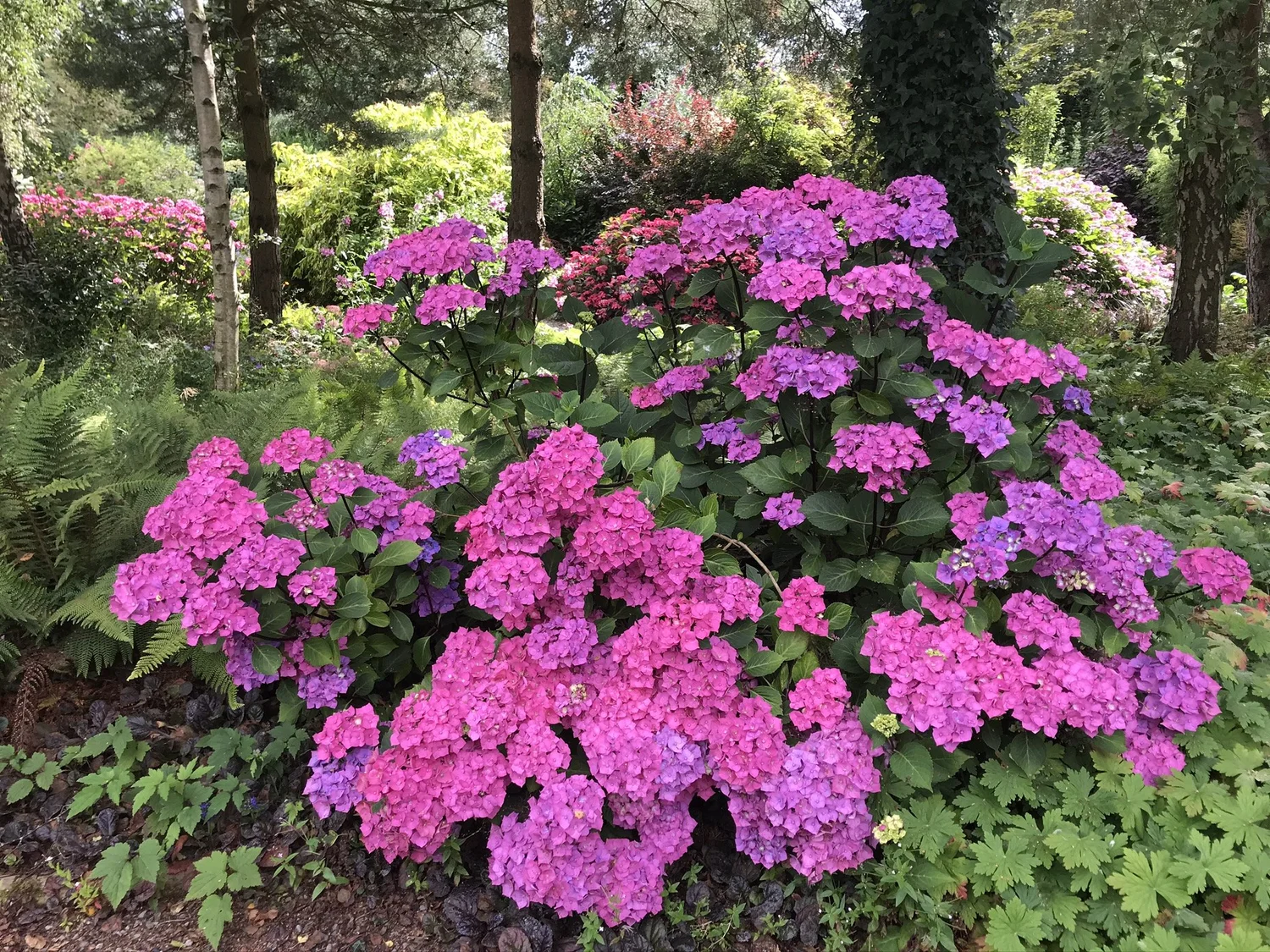 Gallery — Ratoath Garden Centre