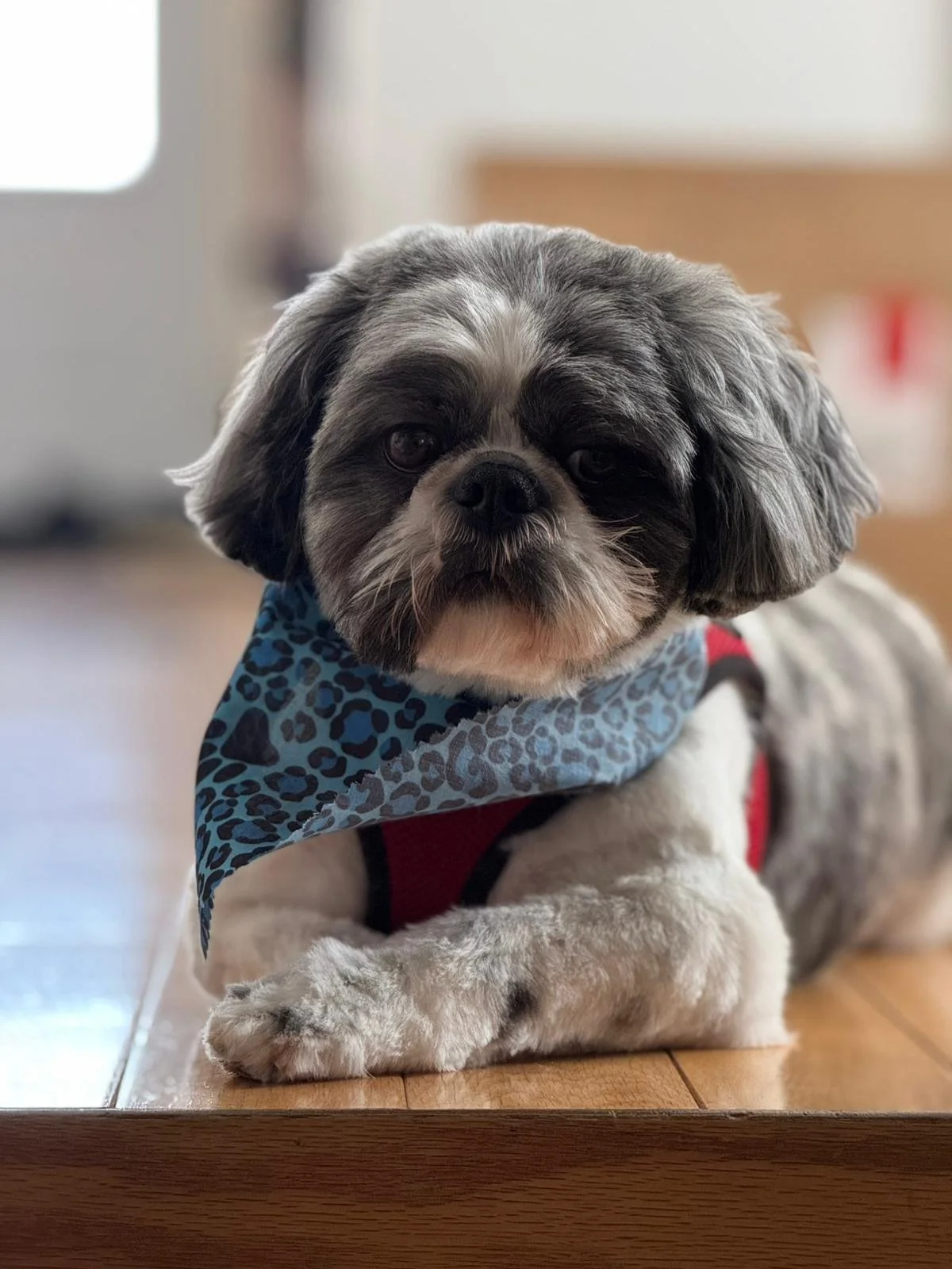 WhatsApp Image 2025-11-06 at 11.29.40_502e6426.jpg