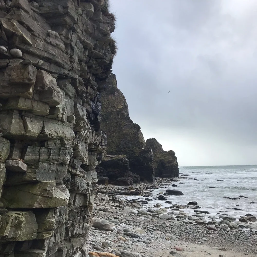 20240302 Dookinella Beach cliffs.jpeg