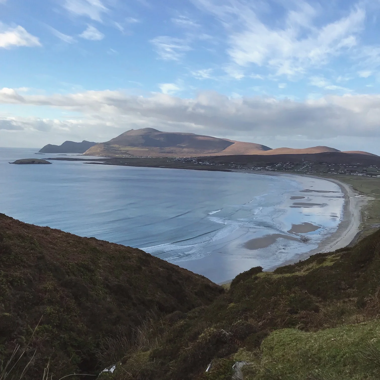 20240301 Trawmore.jpeg