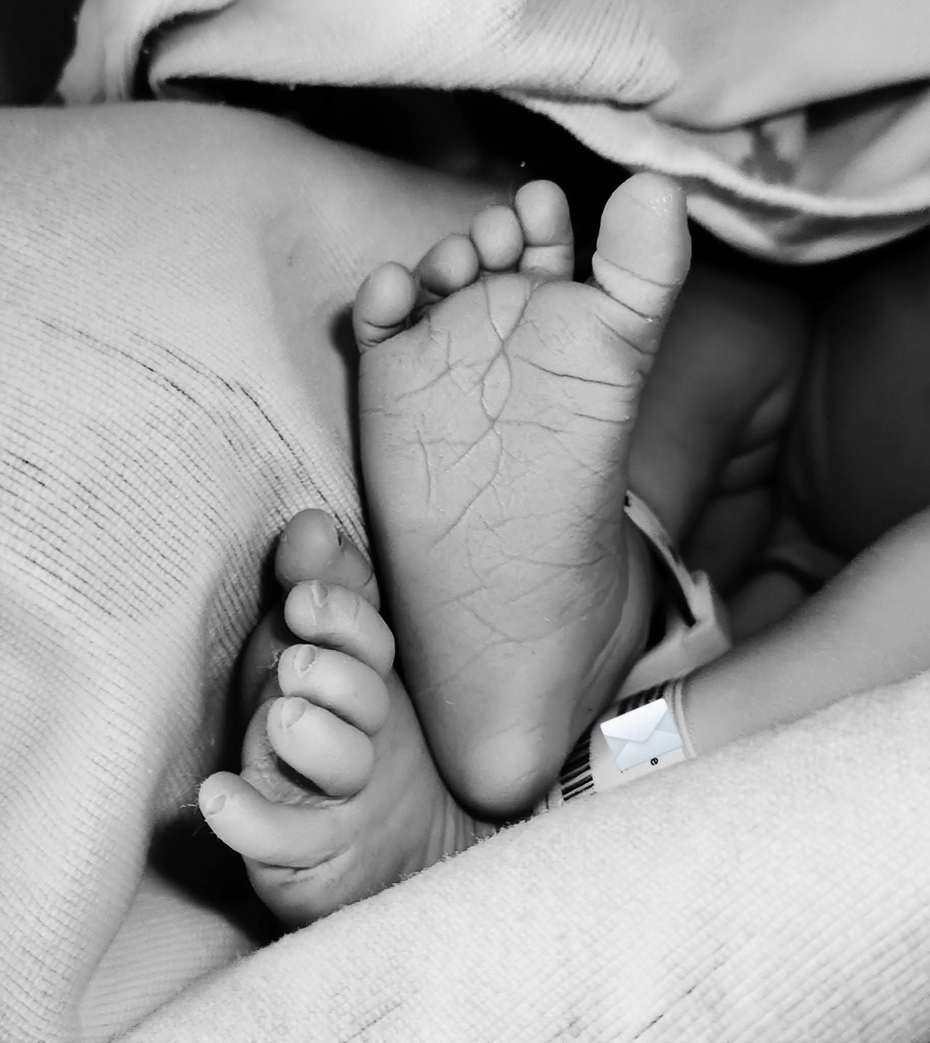 black and white closeup picture of newborn baby's feet