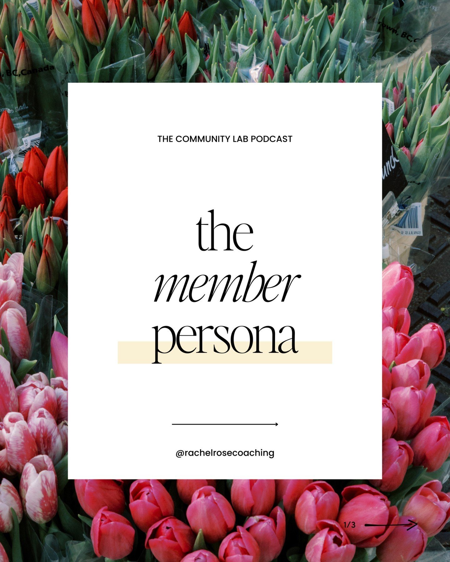Unlock the full potential of your community this week on the Community Lab Podcast, where we delve into the transformative power of member personas! 🌍✨

This episode takes you through how developing detailed personas like Jenna can radically enhance