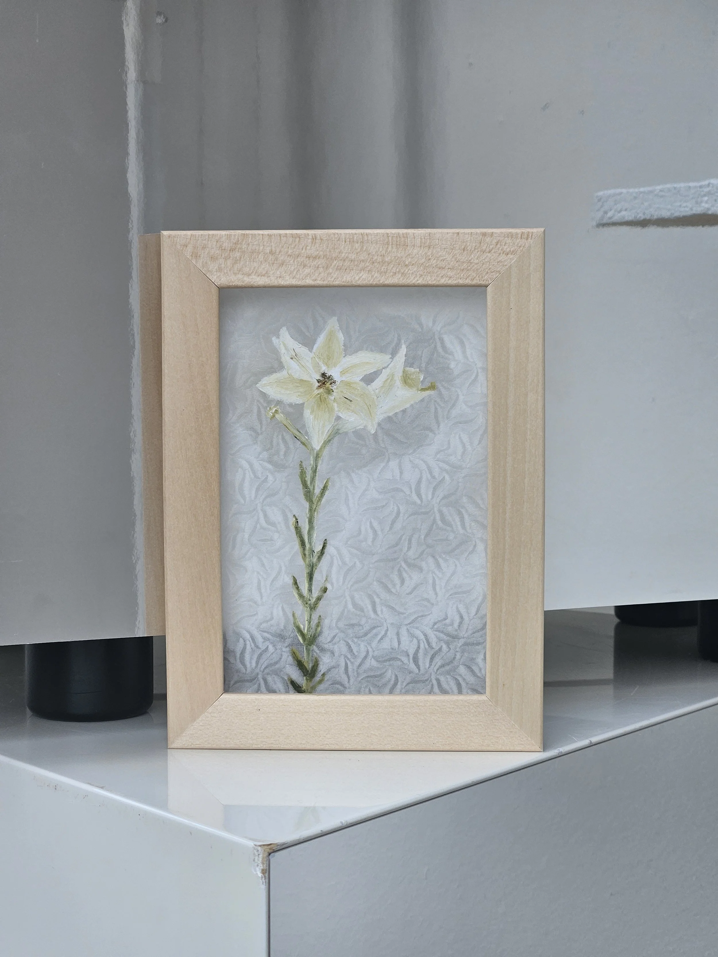 New Game VIII (white lily) 18 x 13 cm