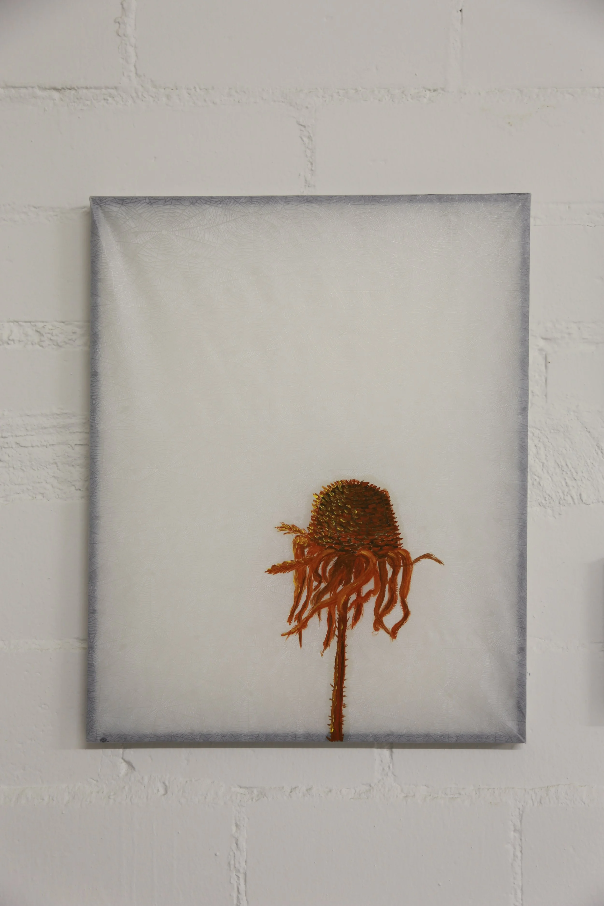 Game over II (brown flower 2).JPG