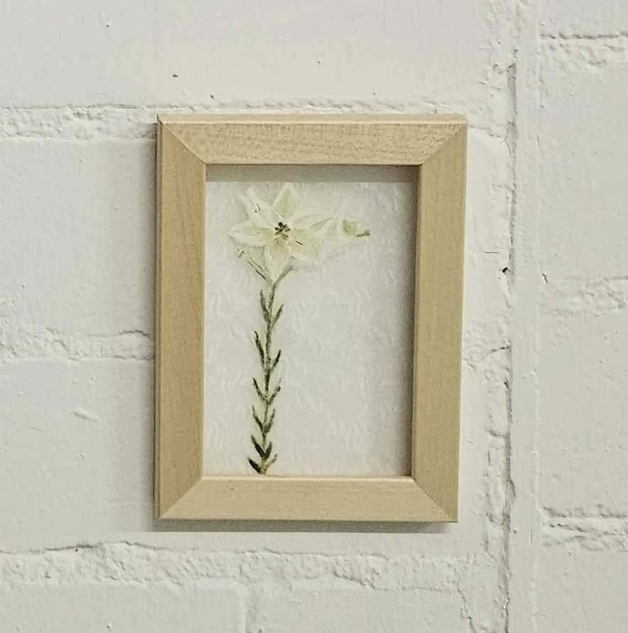 Koltai_New game VIII white flower.jpeg