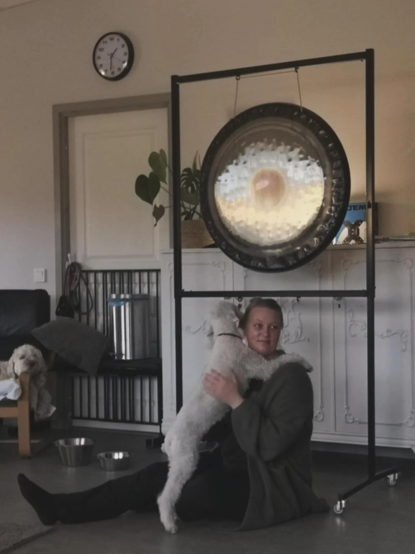 En kram efter gongvilan var obligatoriskt enligt denna lilla guldp&auml;rla 🤎🐶

#soundhealing #gong #dogs