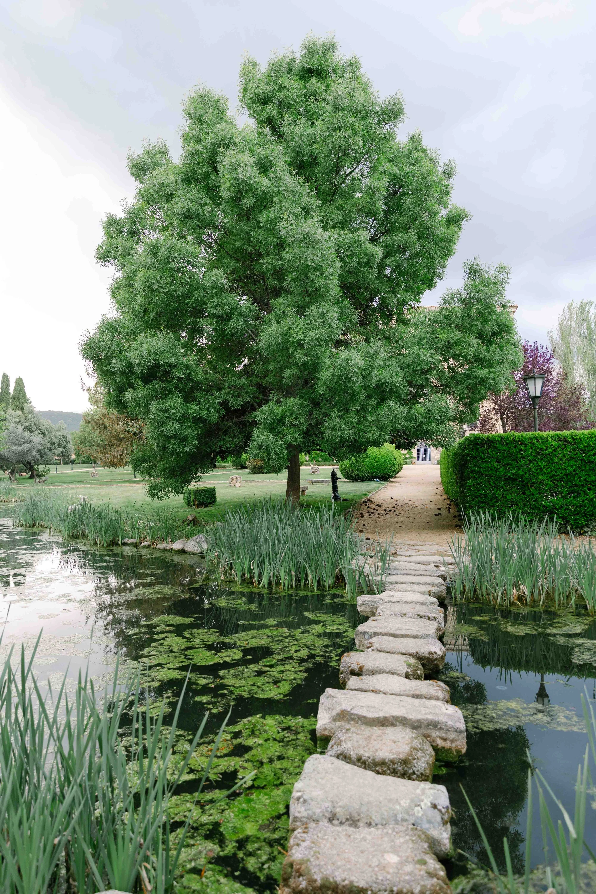 Finca el campillo Madrid-9.jpg