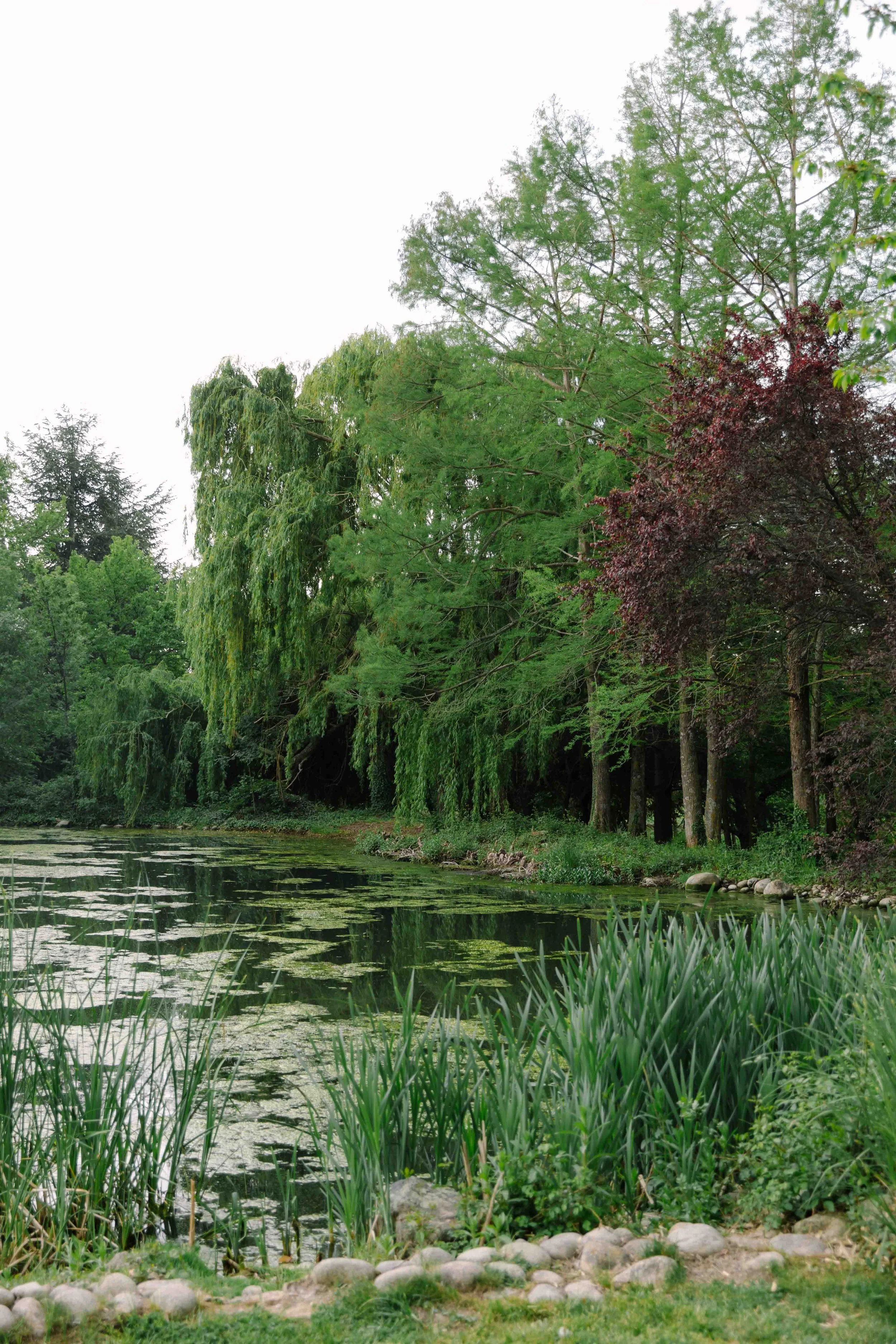 Finca el campillo Madrid-7.jpg