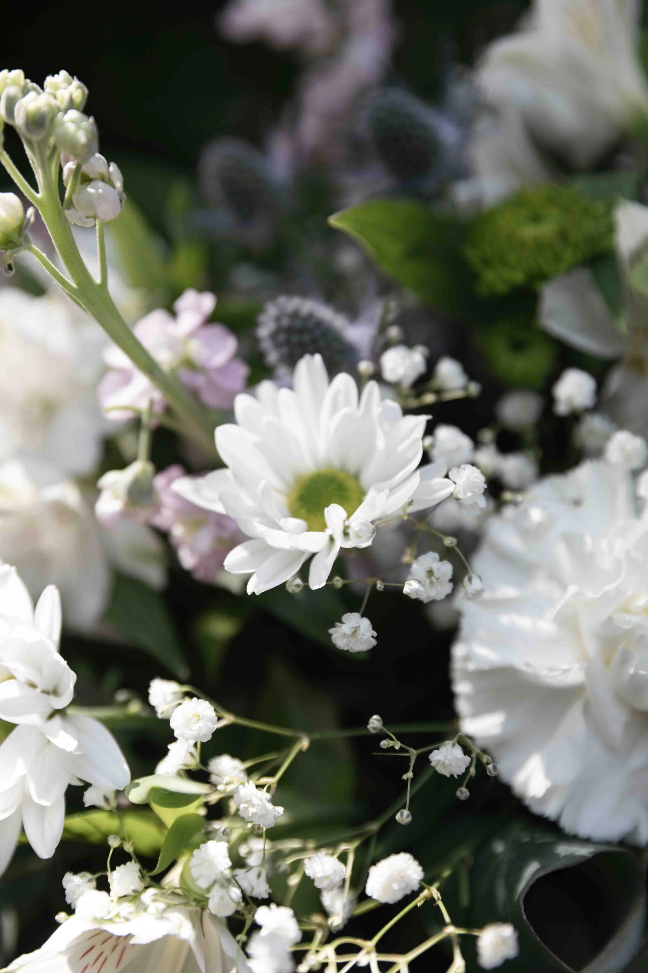 Boda peña del agua madrid-14.jpg