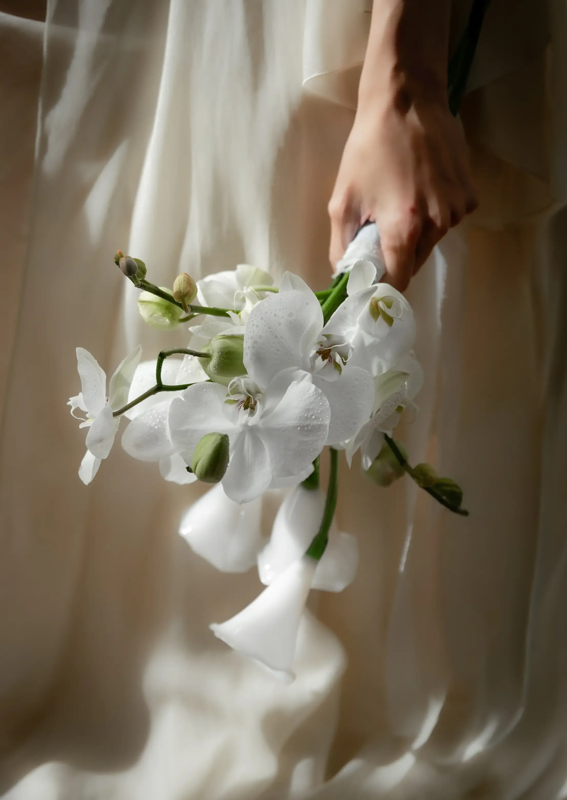 Fotografo.de.boda.valladolid1184.WEBP