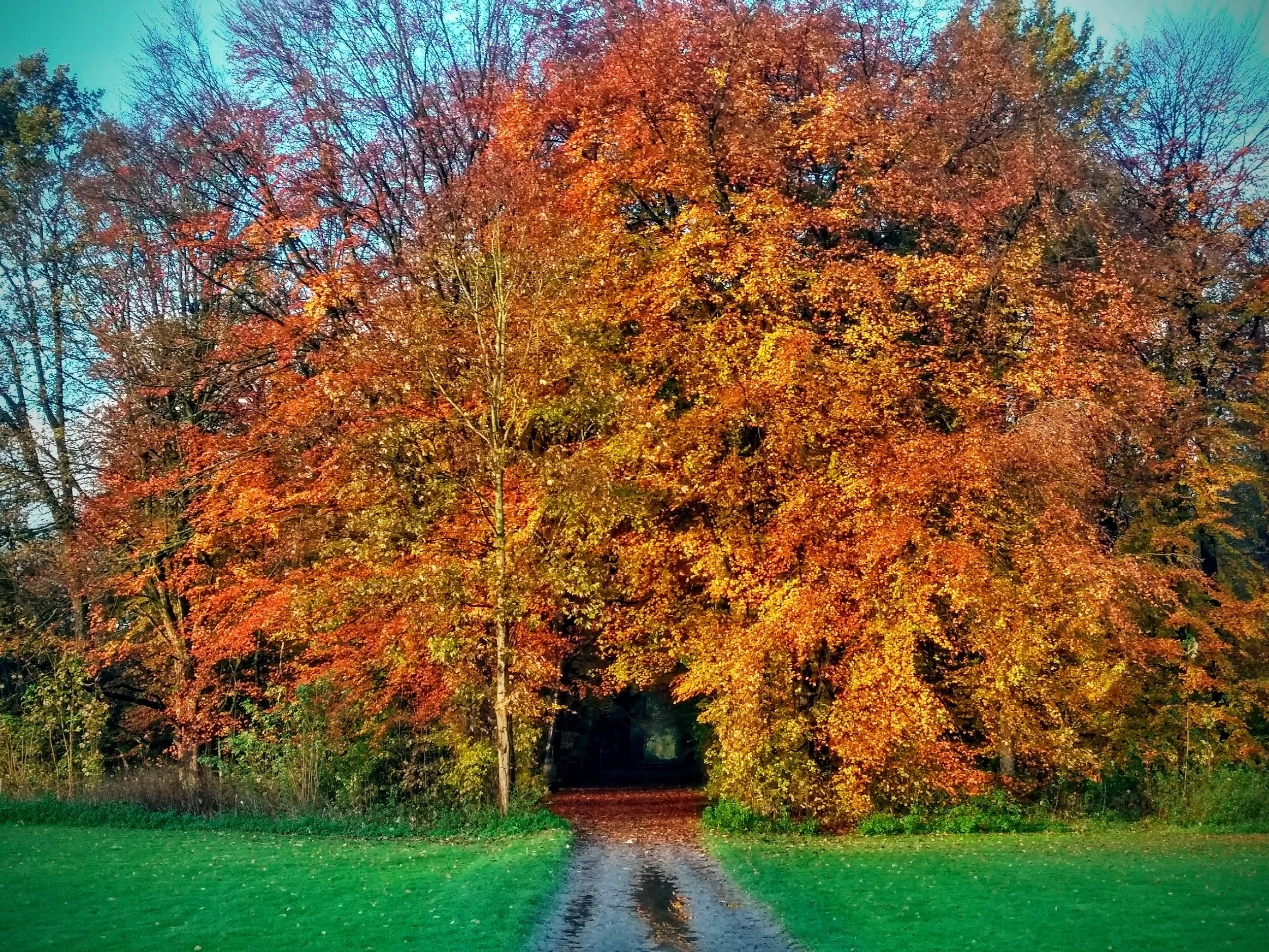 Amsterdamsebos, The Netherlands