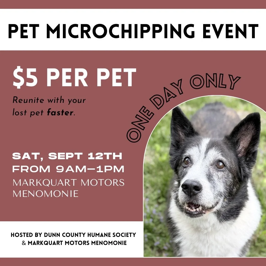 Pet Microchipping Event