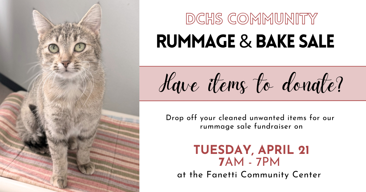 The Community Rummage and Bake Sale is BACK — Dunn County Humane Society