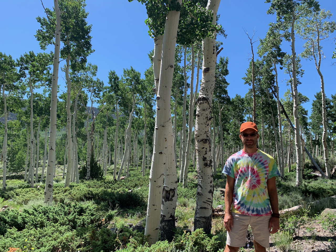 John in the Pando Forest, 2019