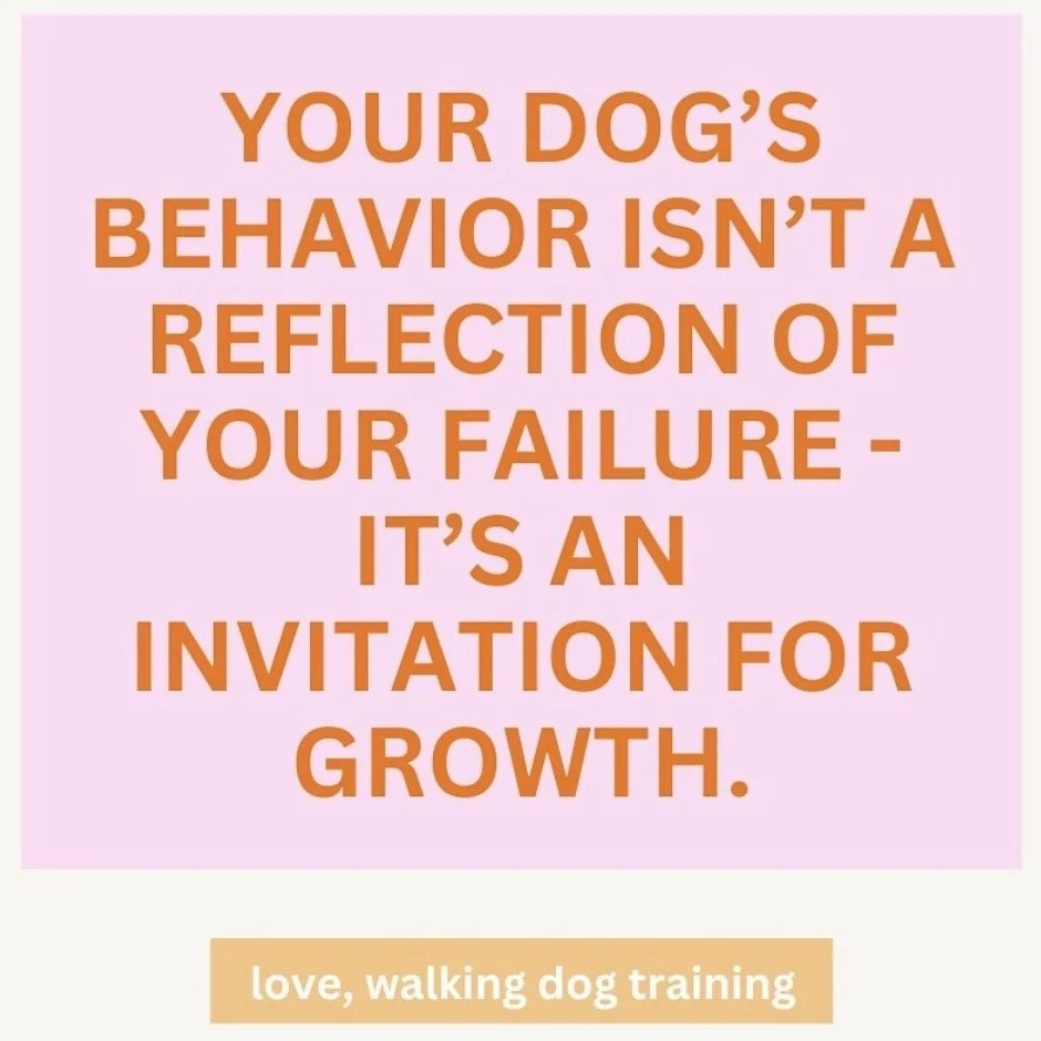 Your dog is your mirror…