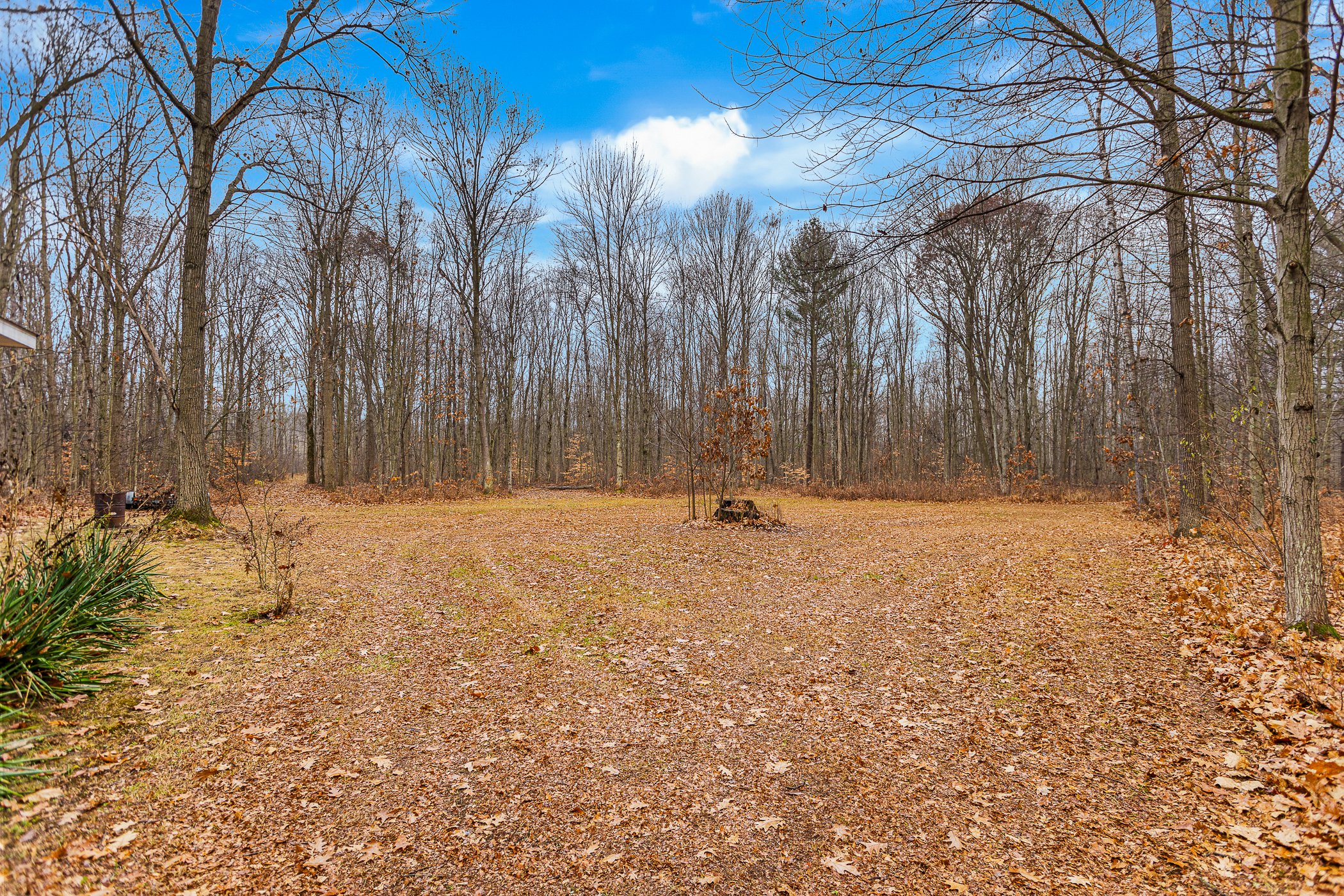 10798 E Remus Road_30.jpg