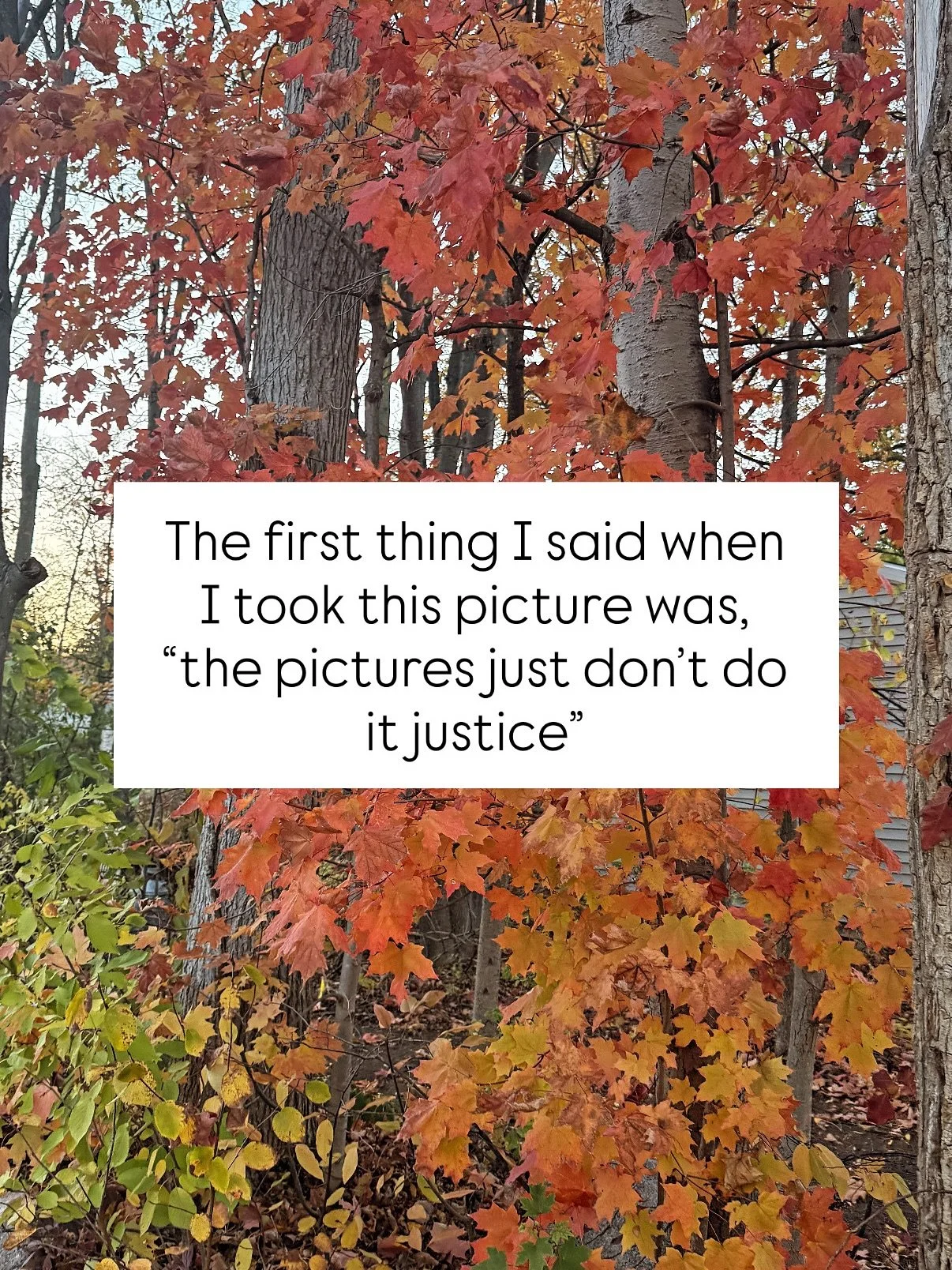 Food for thought 📸🍂💛

#bodypositive #selfloveclub #intuitiveeatingjourney #bodyrespect #foodforthought #dietitianapproved