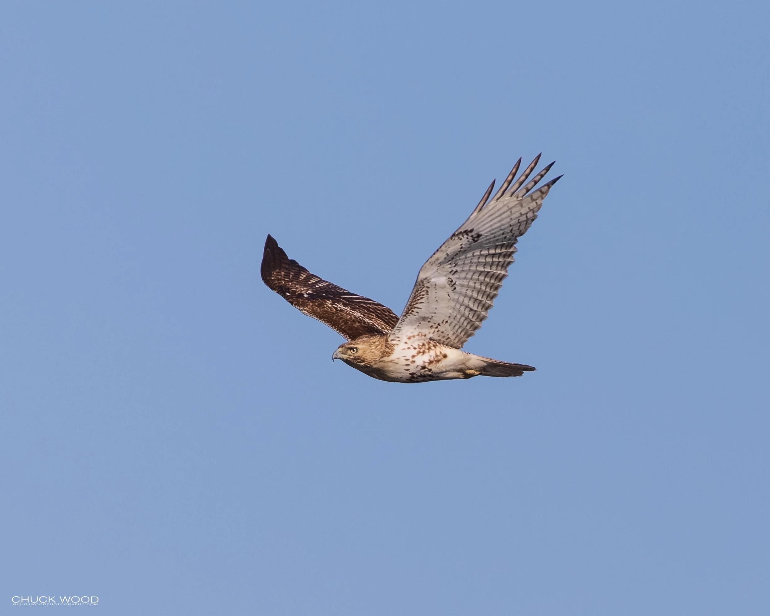  Foschini Park, NJ 2021 