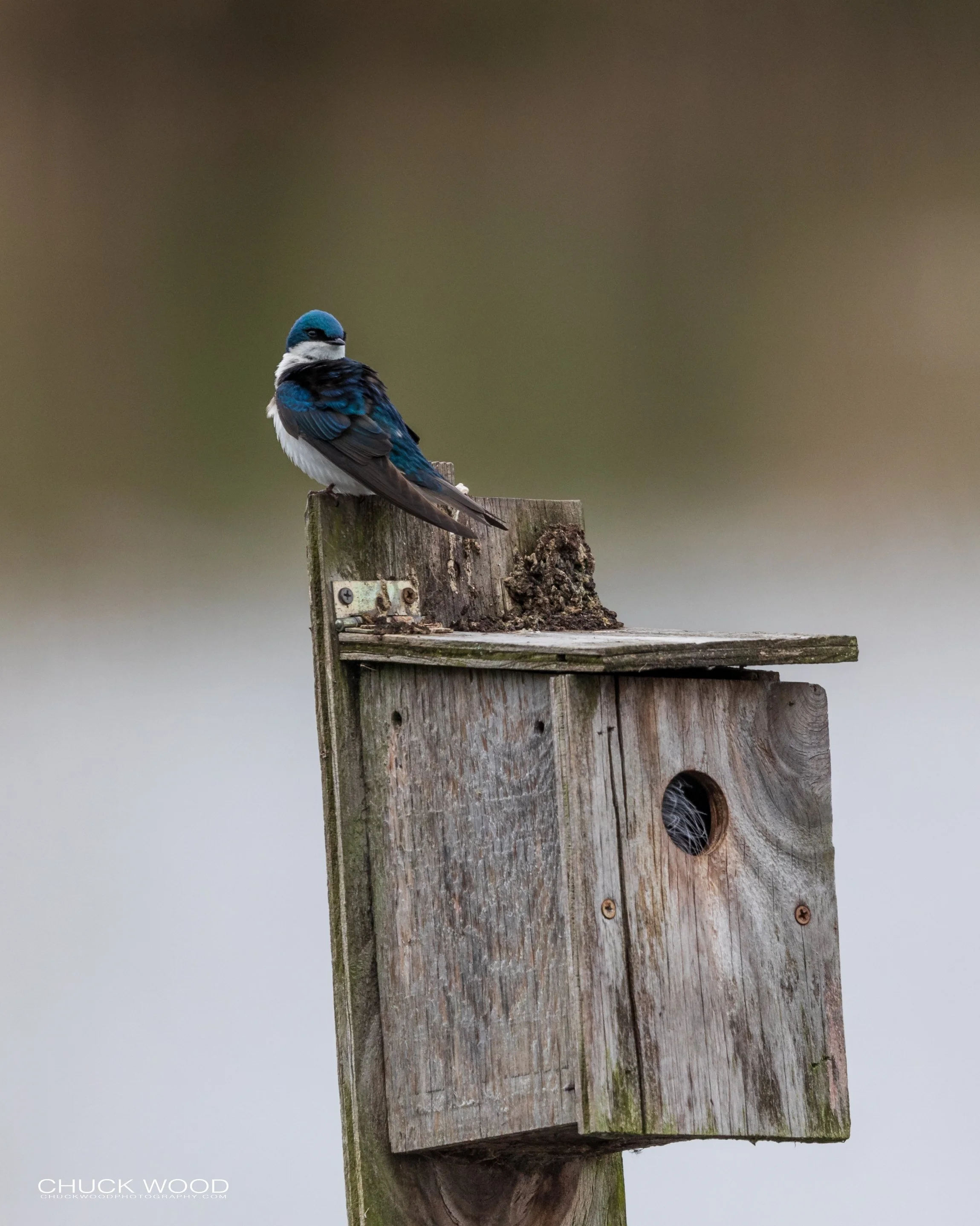  Dekorte Park, NJ 2020 