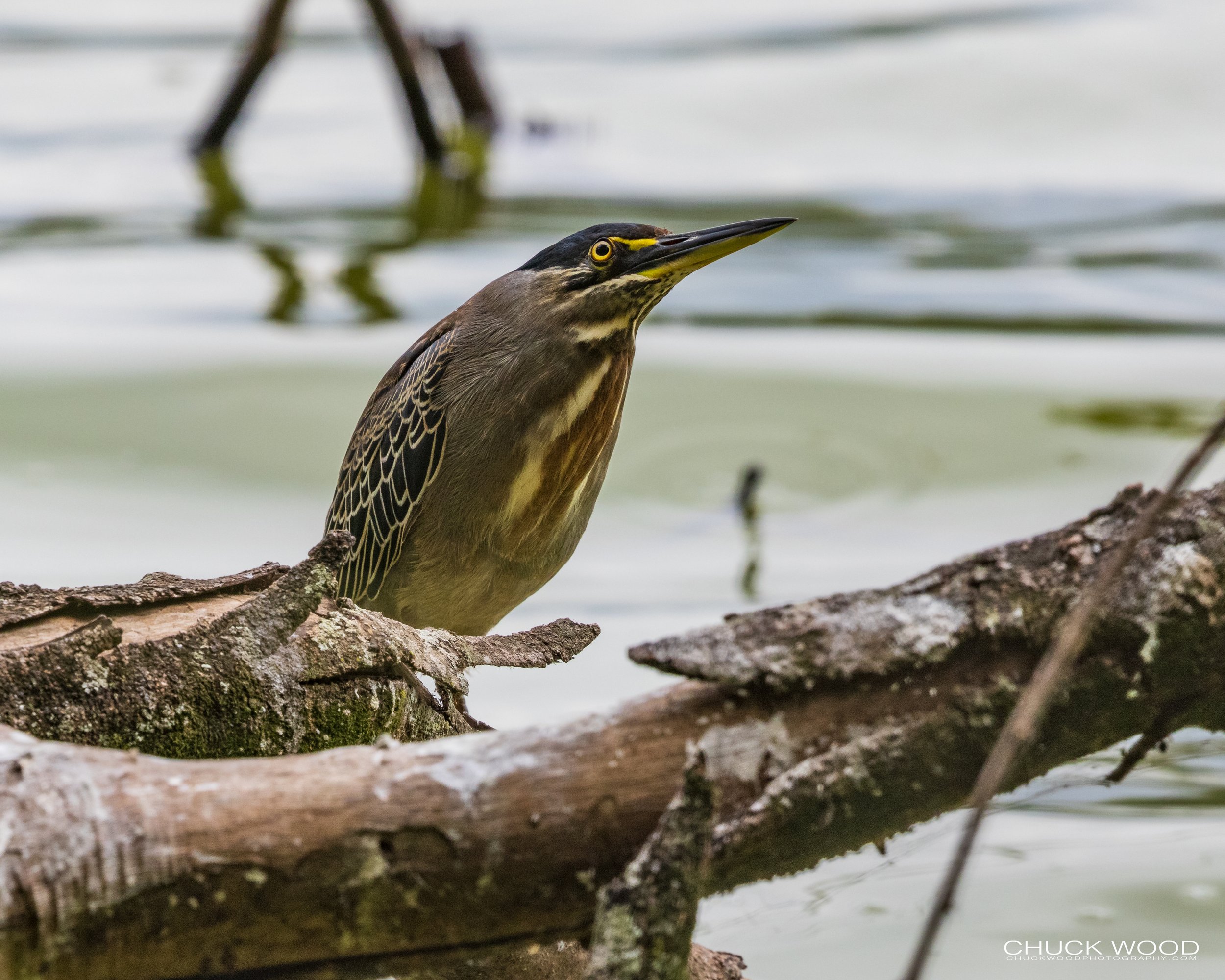  Arusha, Tanzania 2021 