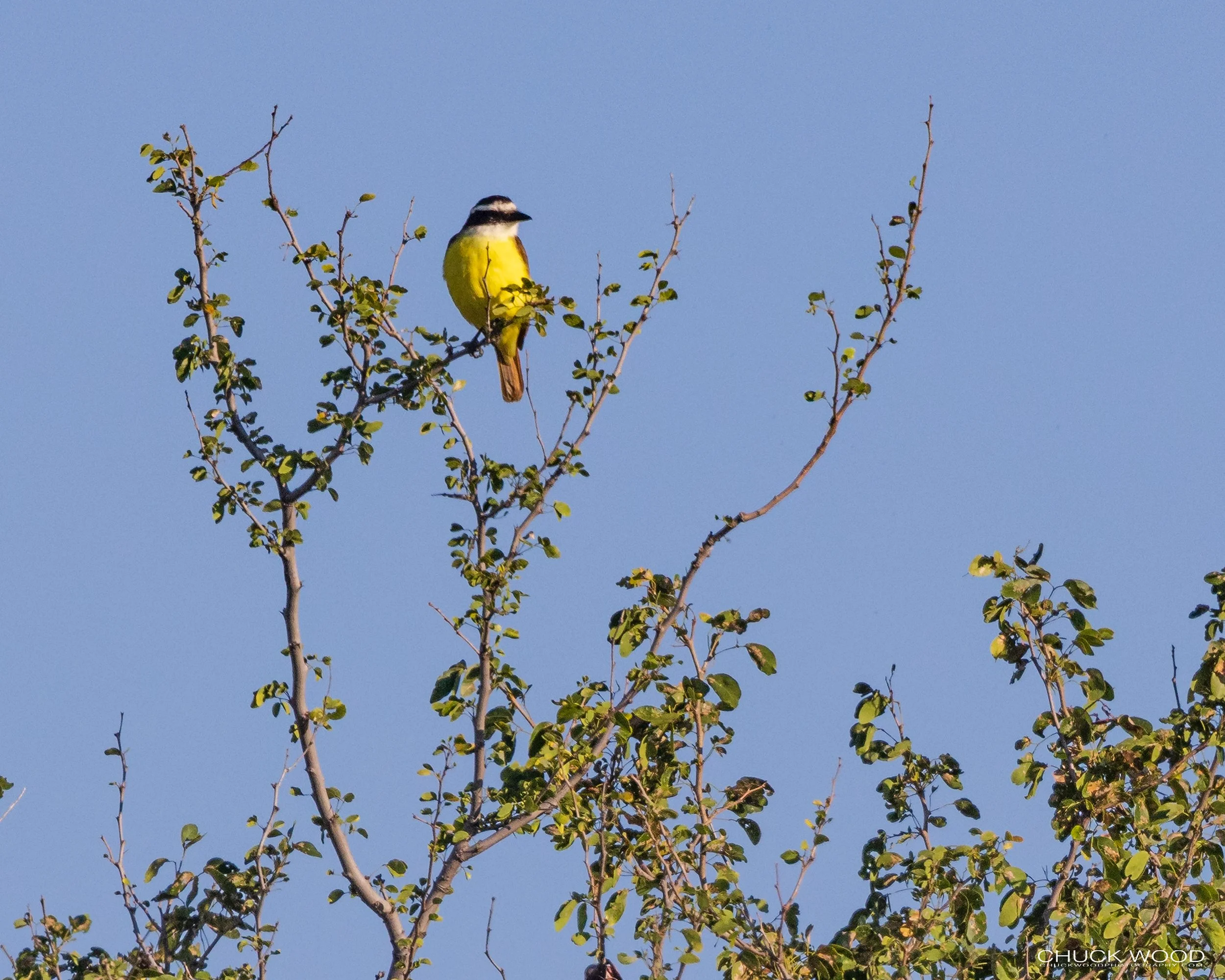  Teotitlan del Valle, MX 2022 I/ 