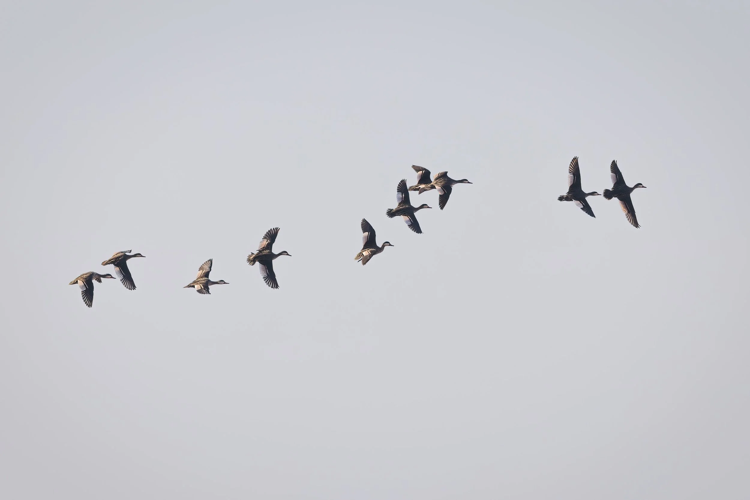  Chobe Riverfront, Botswana  2023 