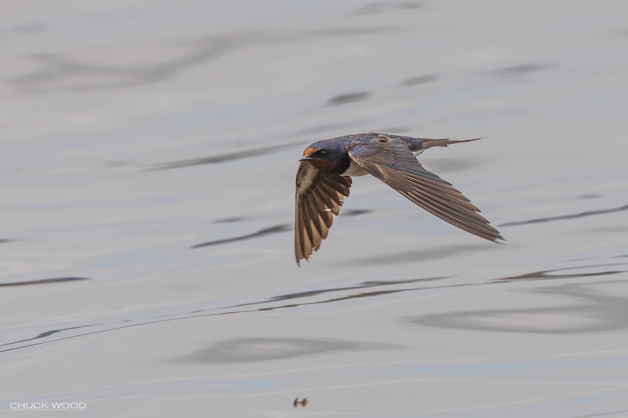  Arusha, Tanzania 2021 