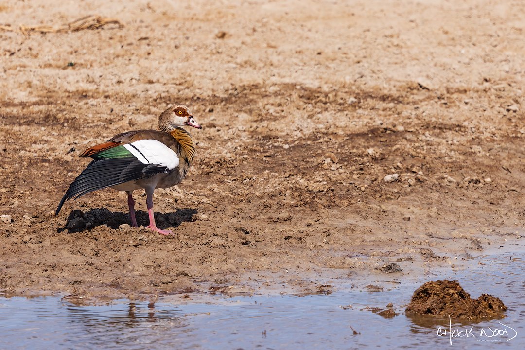  Makgadikgadi, Botswana 2024 
