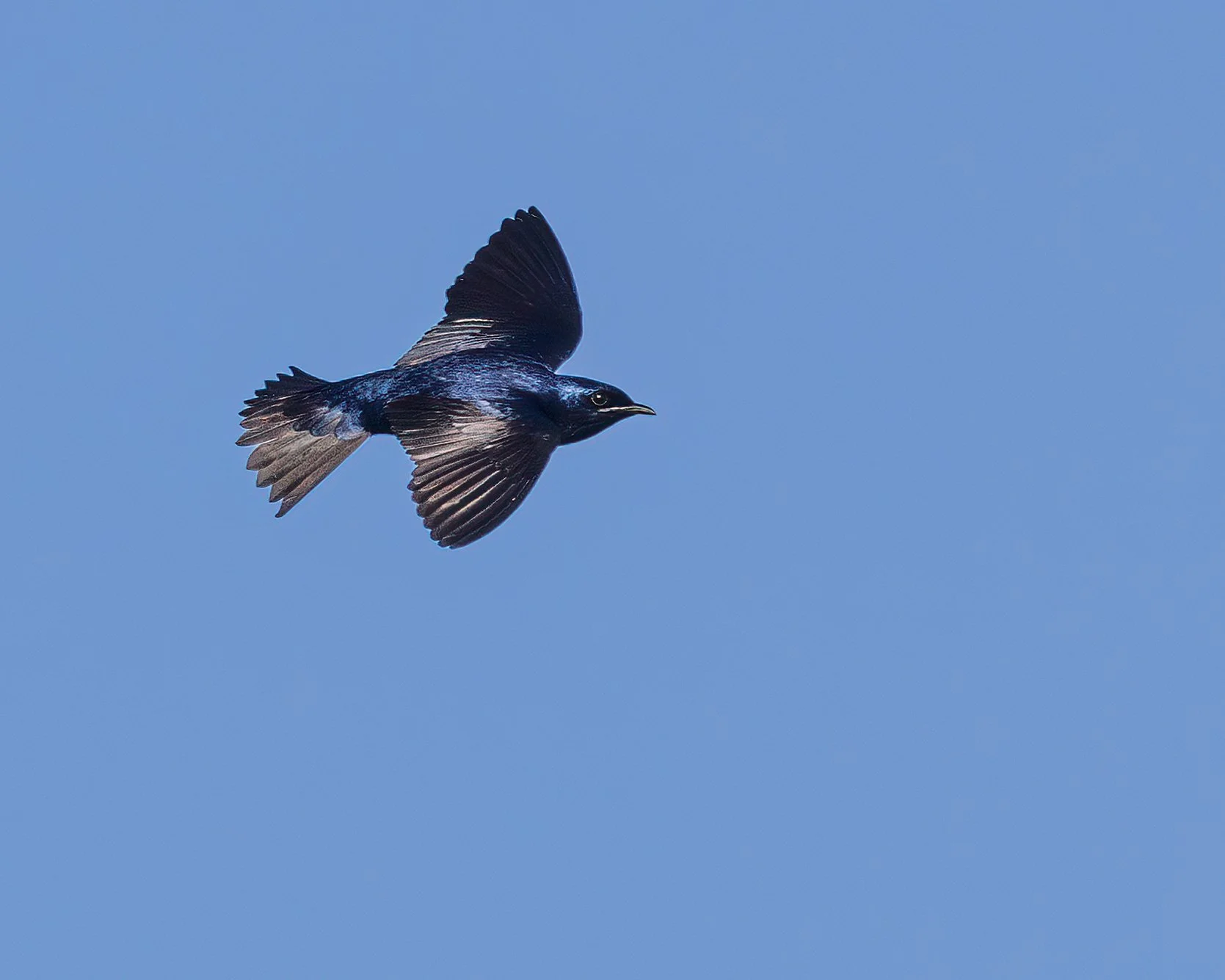  Wakodahatchee, FL 2023 