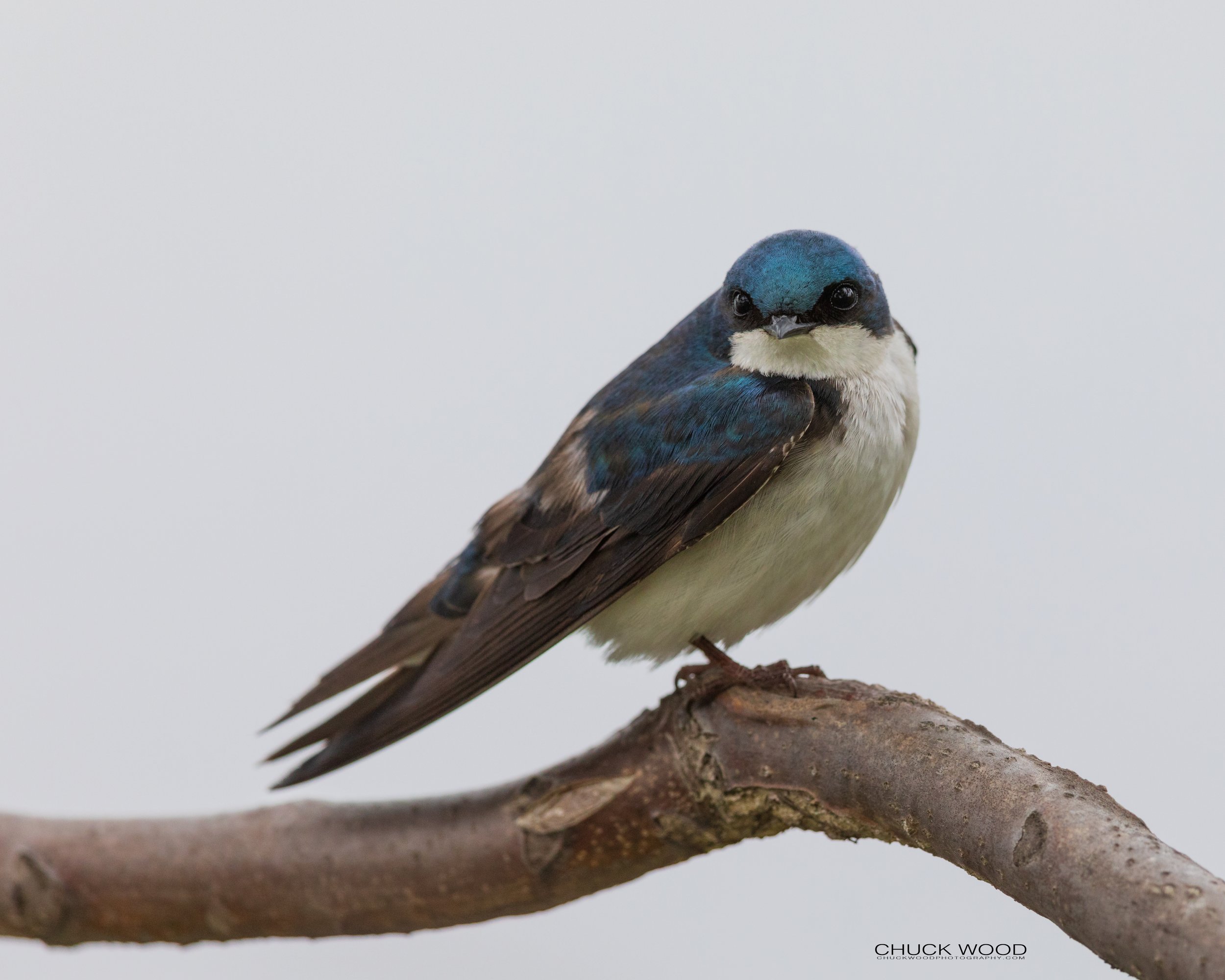  Dekorte Park, NJ 2020 