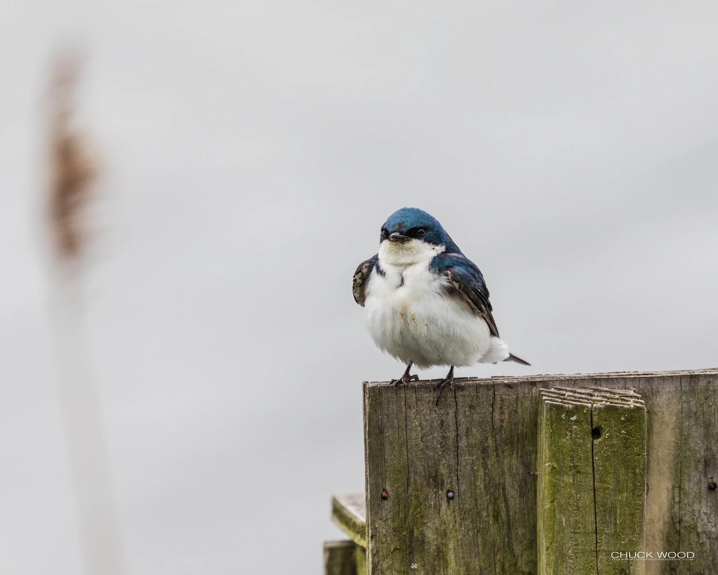  Dekorte Park, NJ 2020 