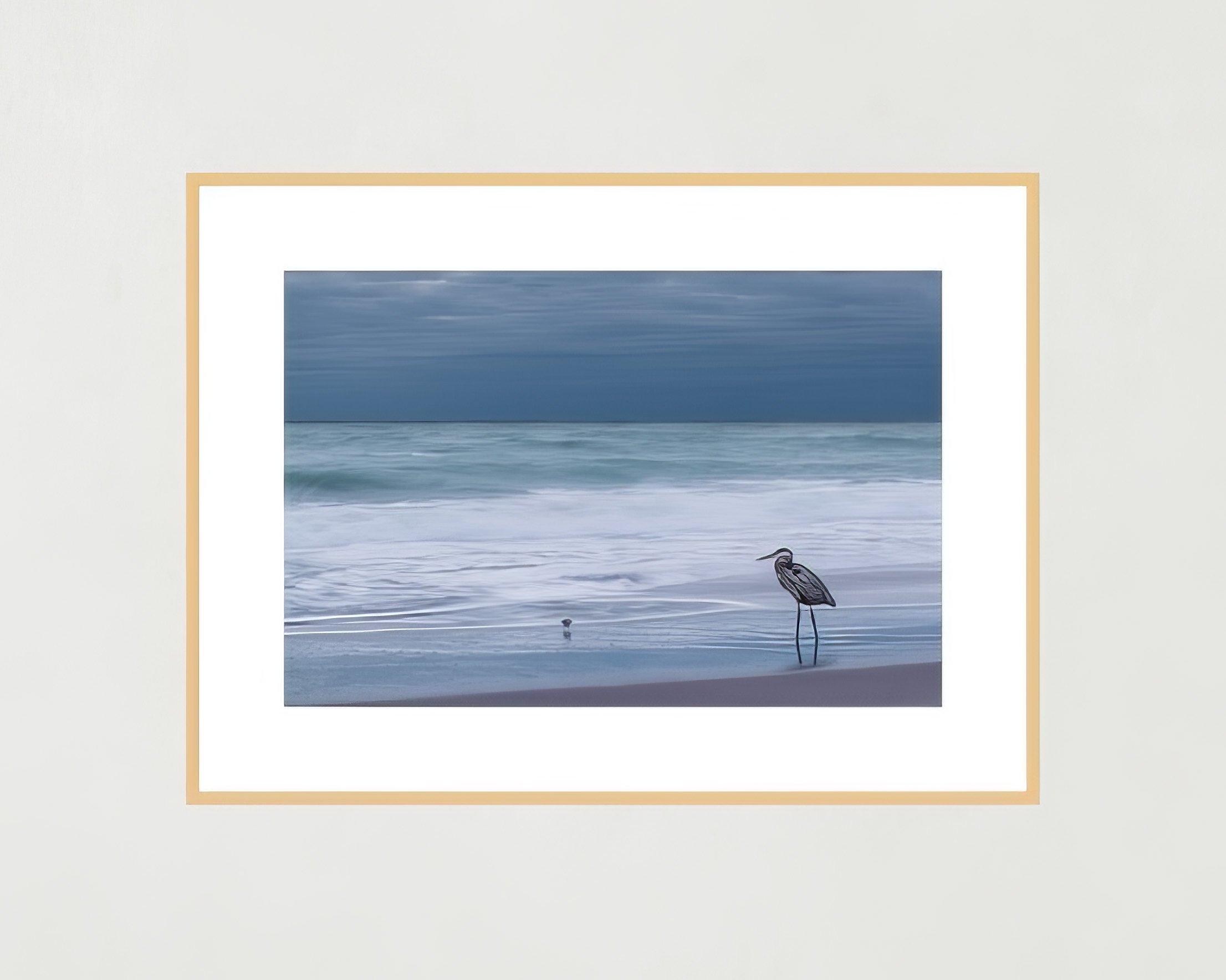 great blue heron frame.jpg