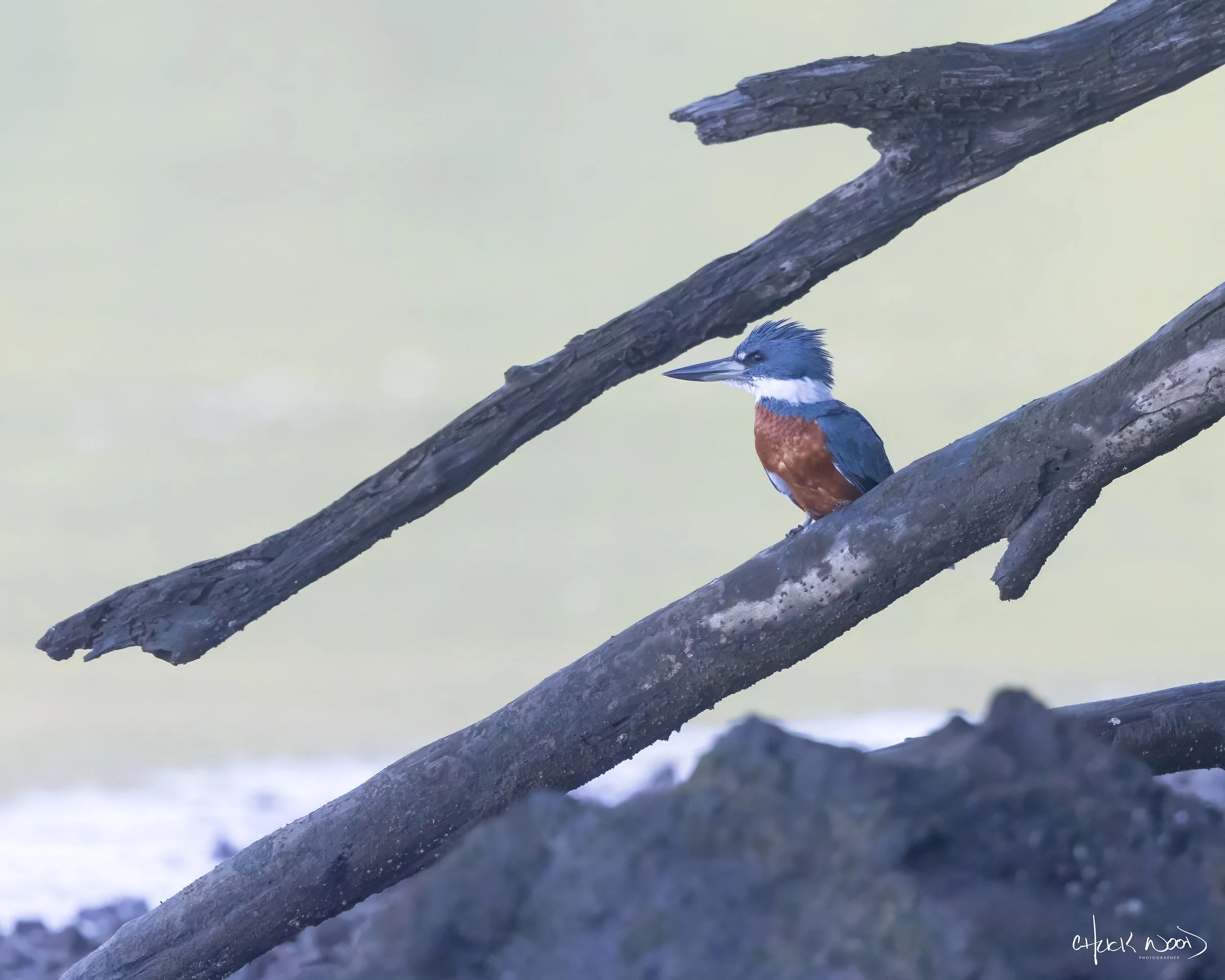  Osa Peninsula, Costa Rica 2022 