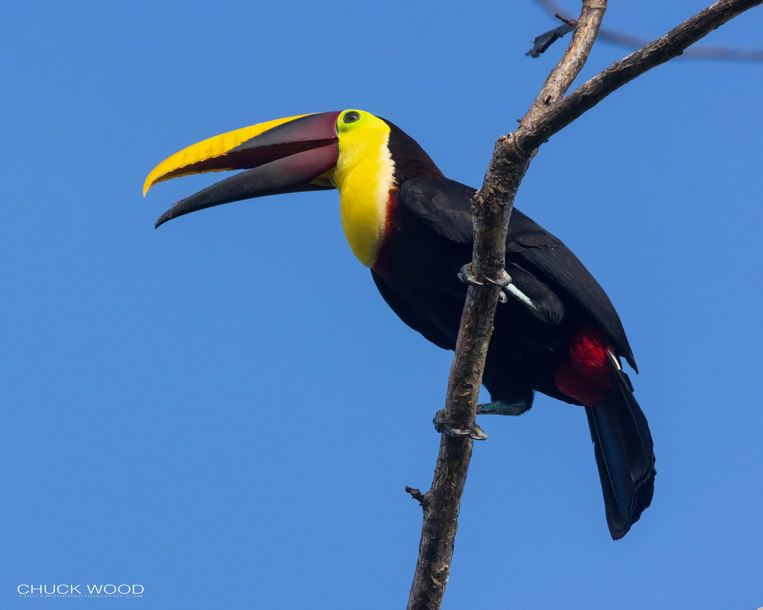  Osa Peninsula, Costa Rica 2022 