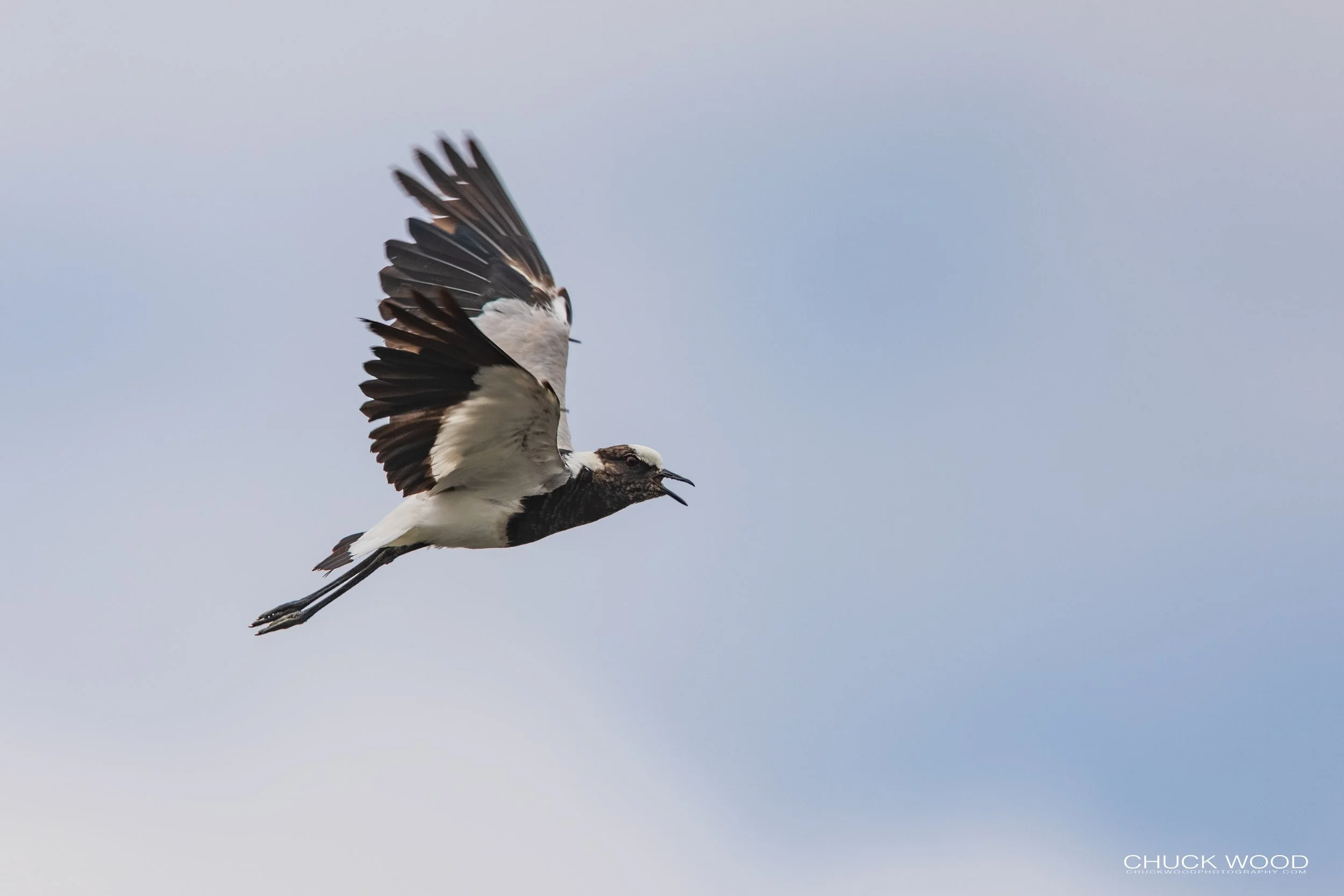  Arusha, Tanzania 2021 