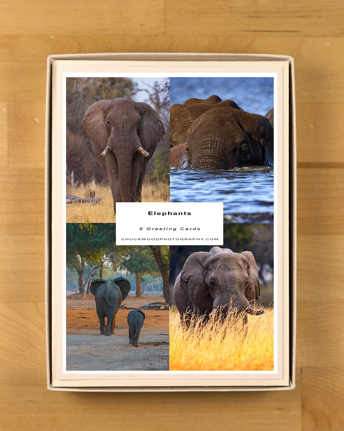 Elephants-Boxed-Set-product-shot-BOX-1500.jpg