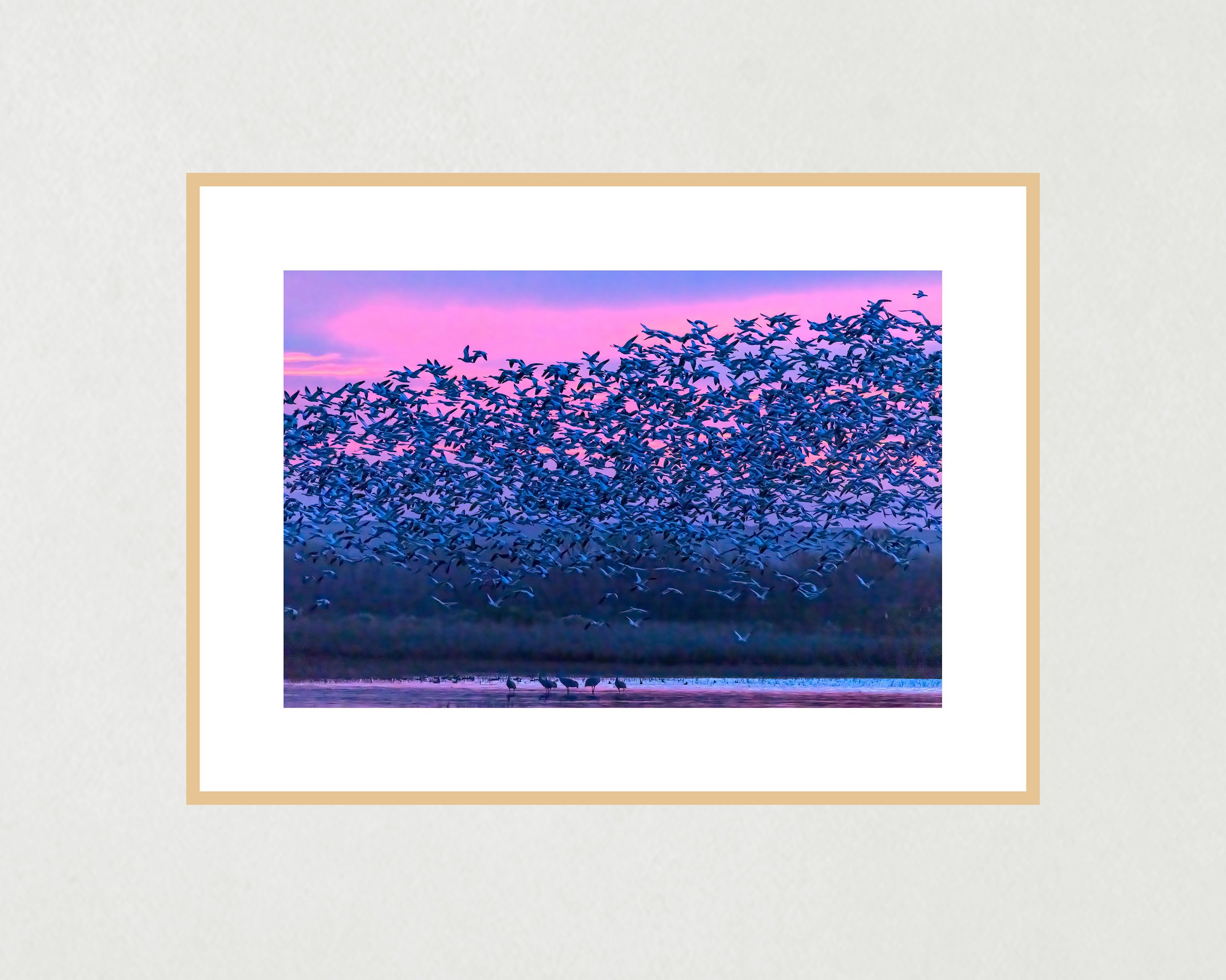 Snow-Geese-Sunrise-mockup-frame-only-WB.jpg