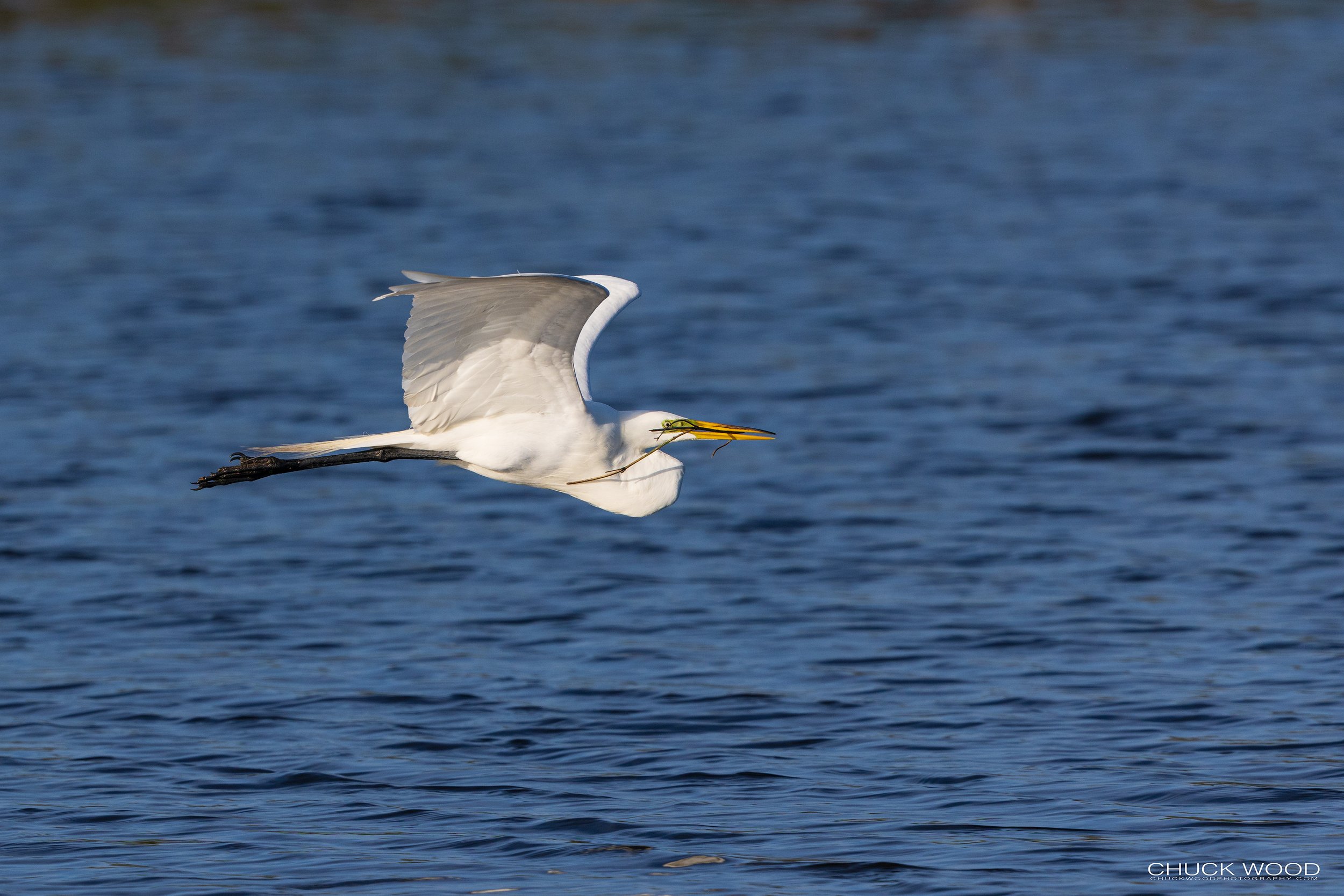  Stick Marsh, FL 2022 