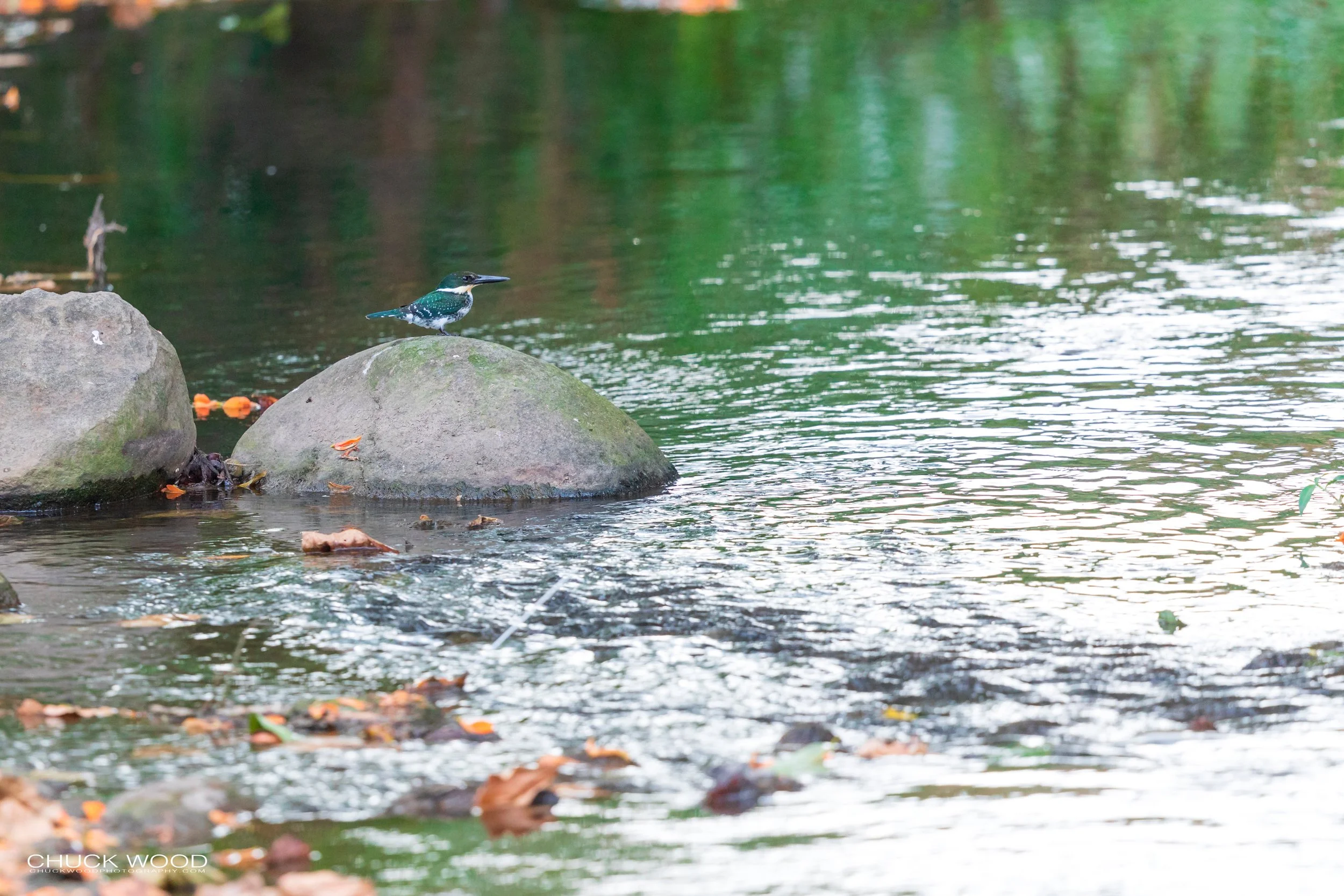  Tuis River Valley, Costa Rica 2020 