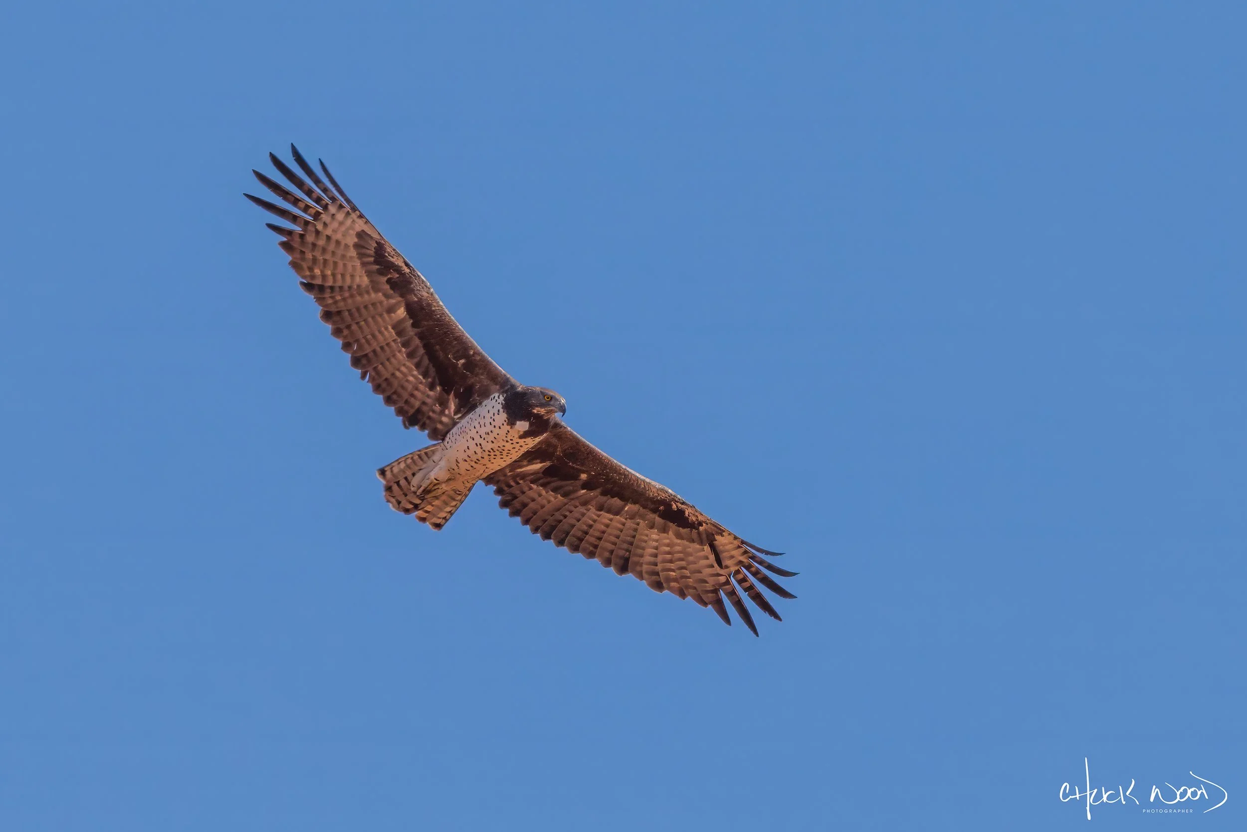  Lake Kariba, Zimbabwe 2019 