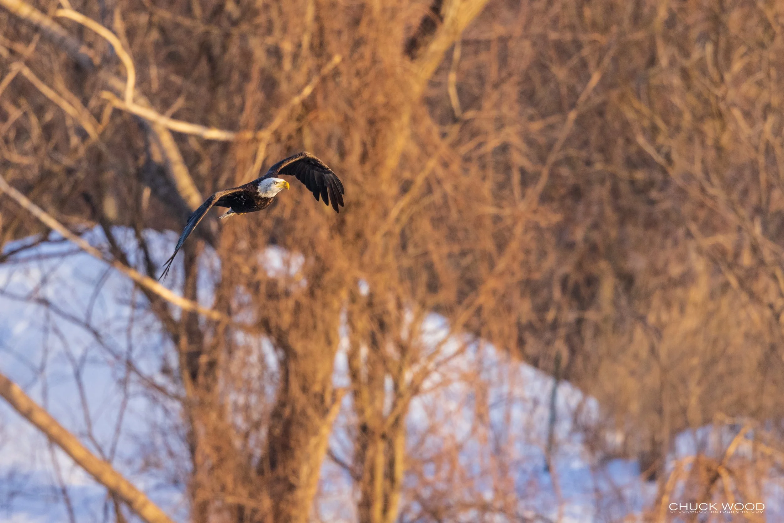  Hackensack River, NJ 2021 