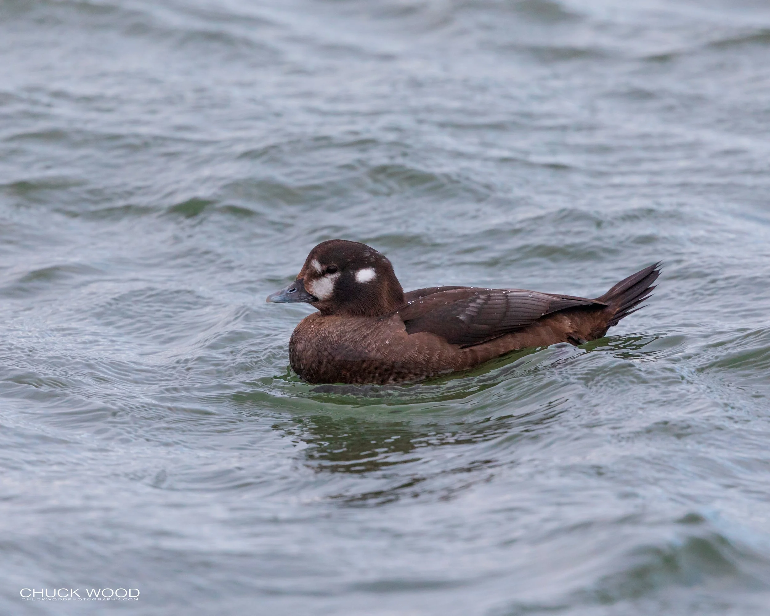  Barnegat Lighthouse, NJ 2020 